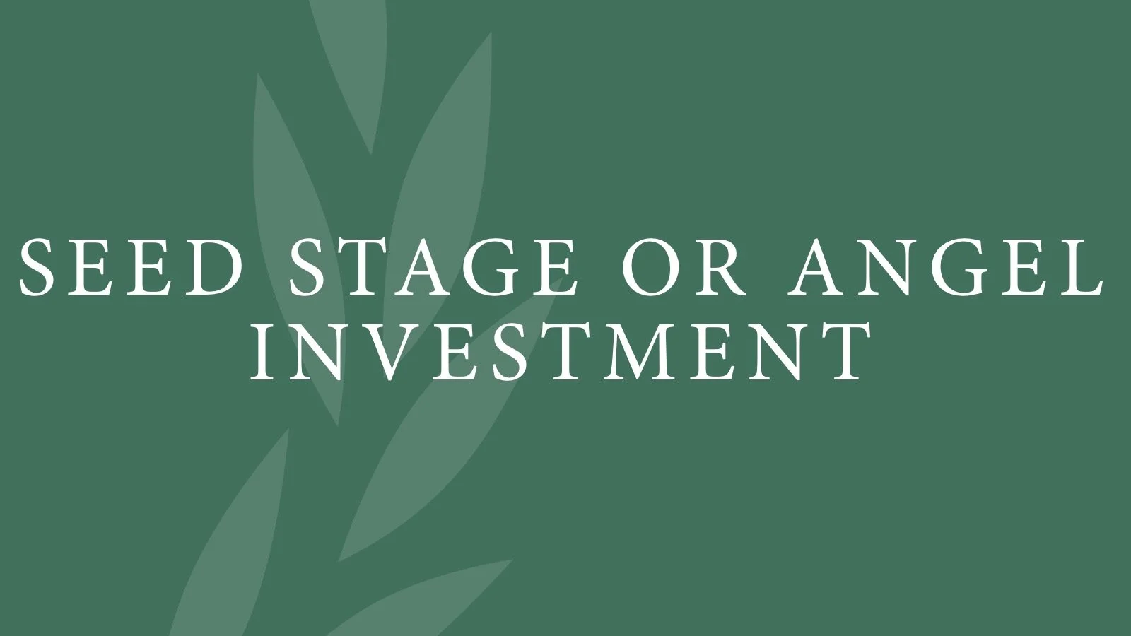 Seed Stage or Angel Investment