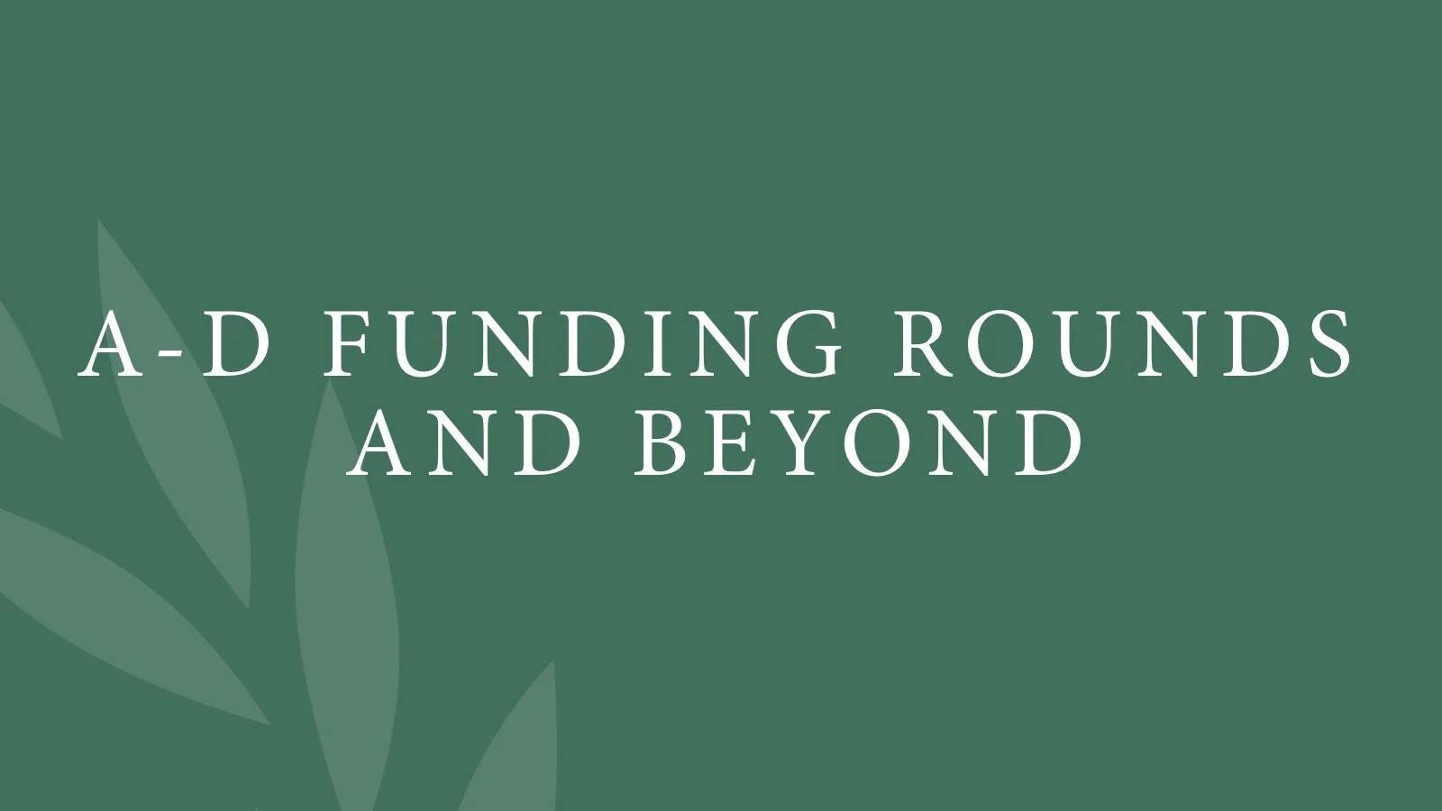 A-D Funding Rounds and Beyond