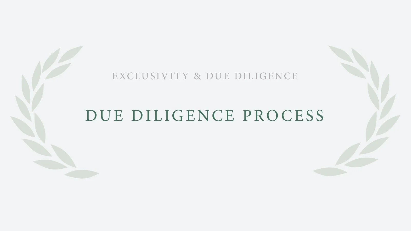 Due Diligence Process