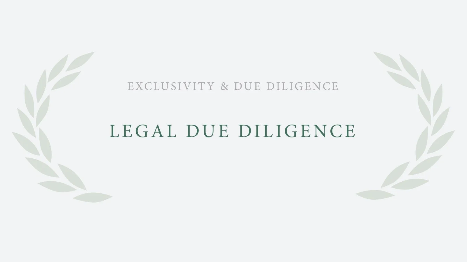 Legal Due Diligence