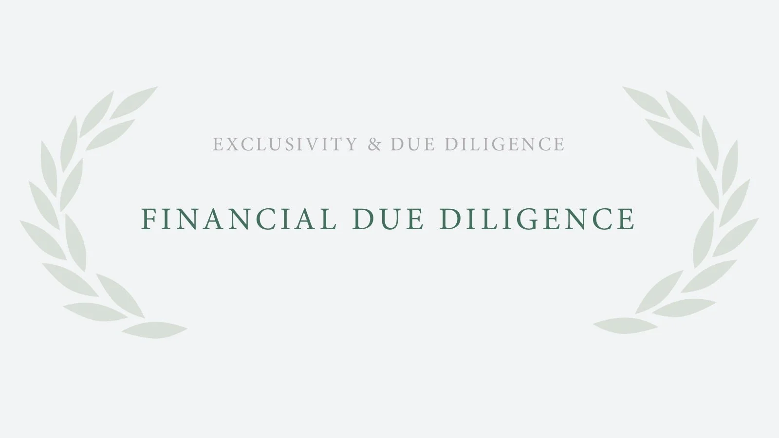 Financial Due Diligence