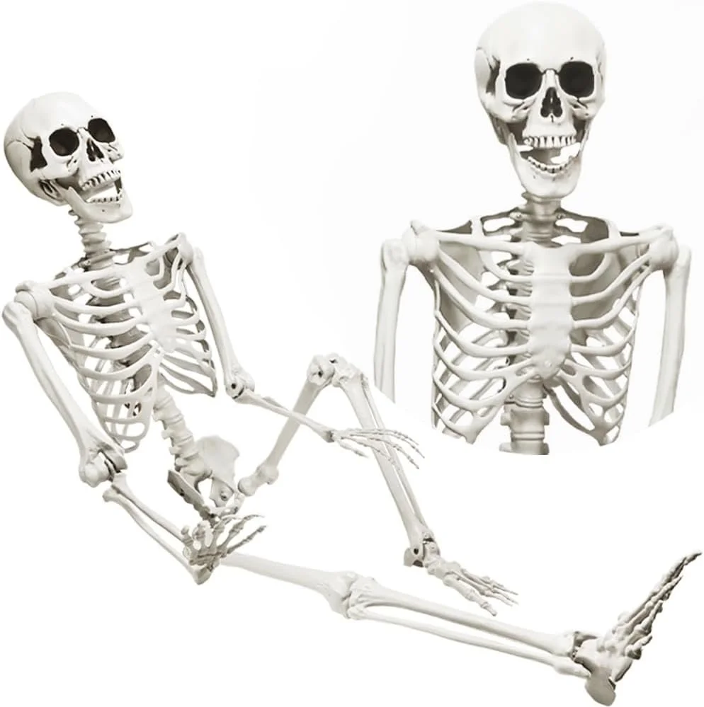 5 ft skeleton.jpg