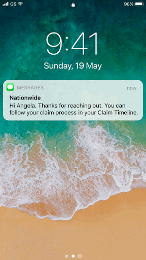 following the call animation.gif