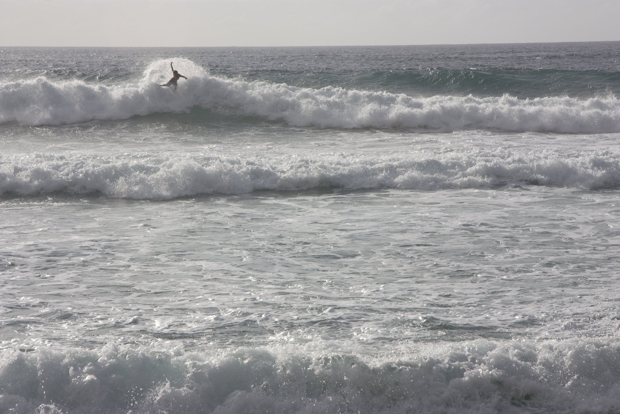 We surfed
