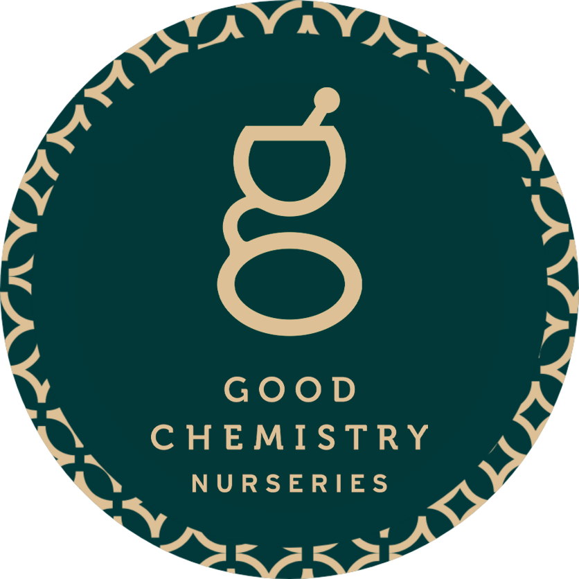 Good Chemistry Pop-Up