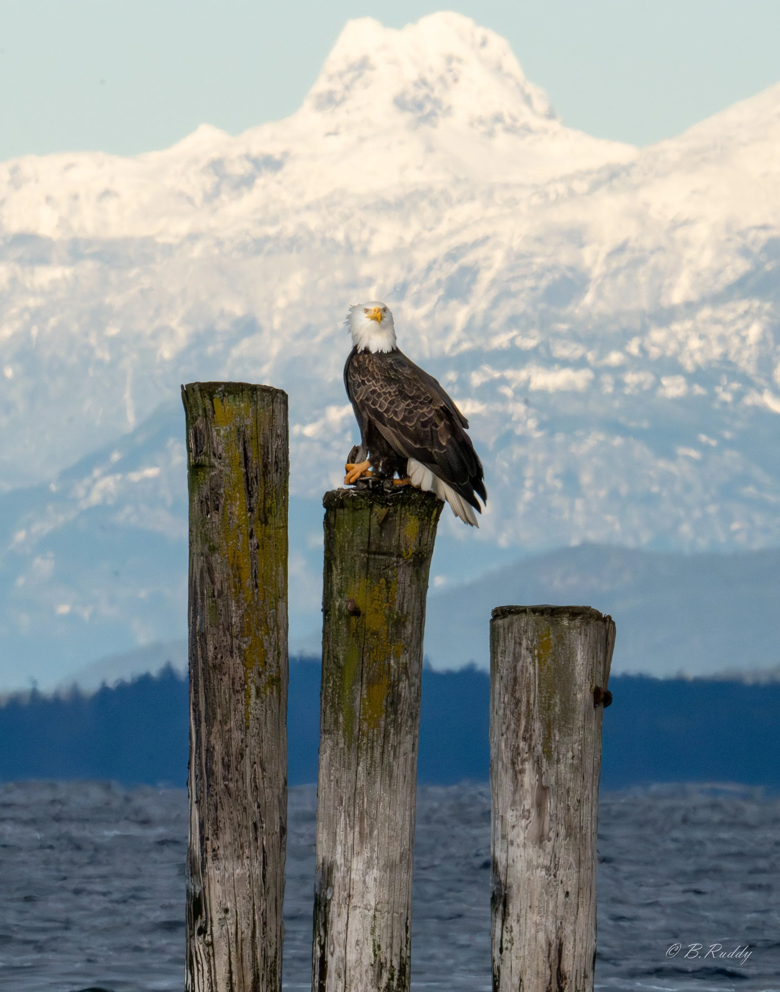 A7304523-Enhanced-NR.jpg