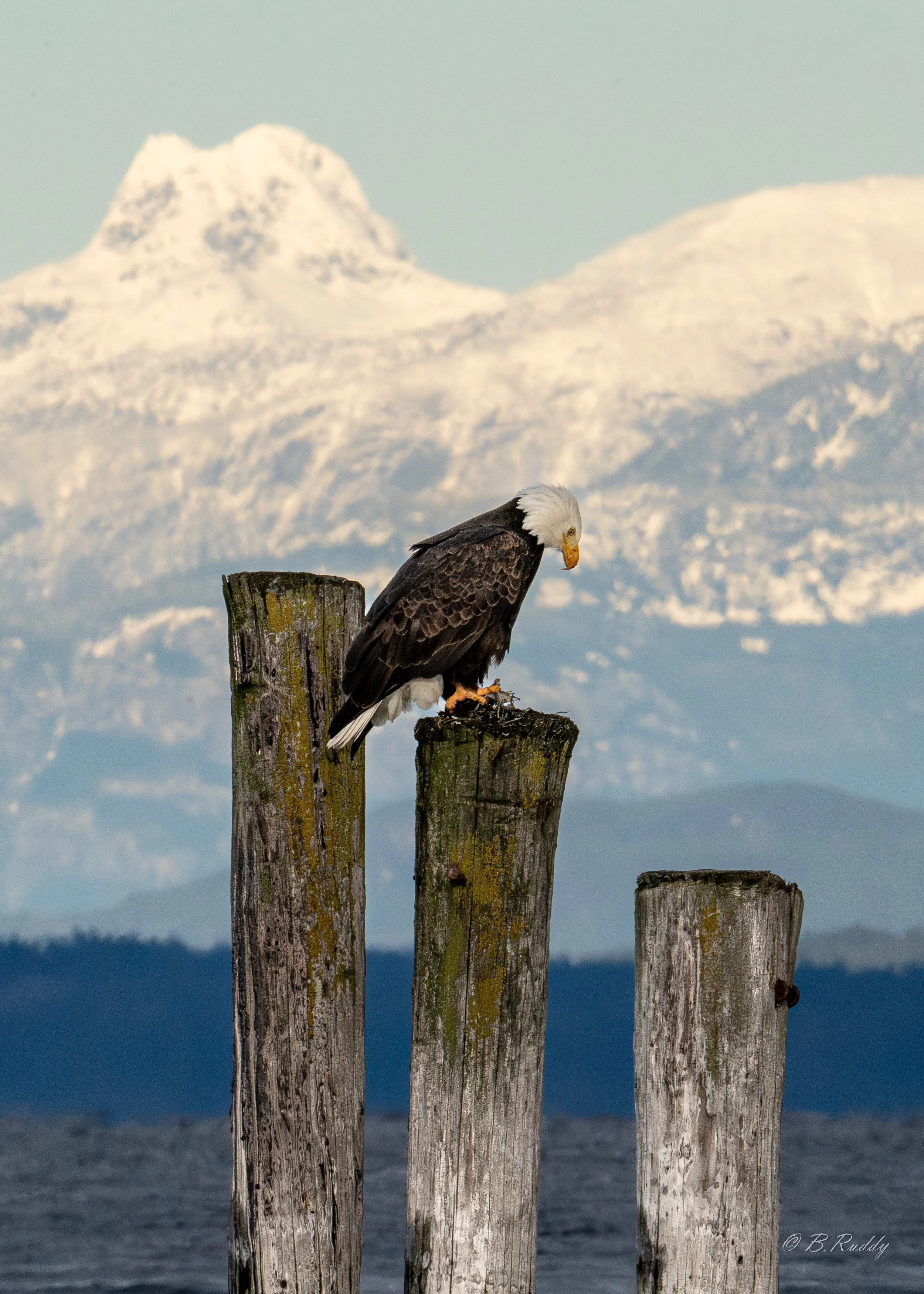 A7304434-Enhanced-NR.jpg