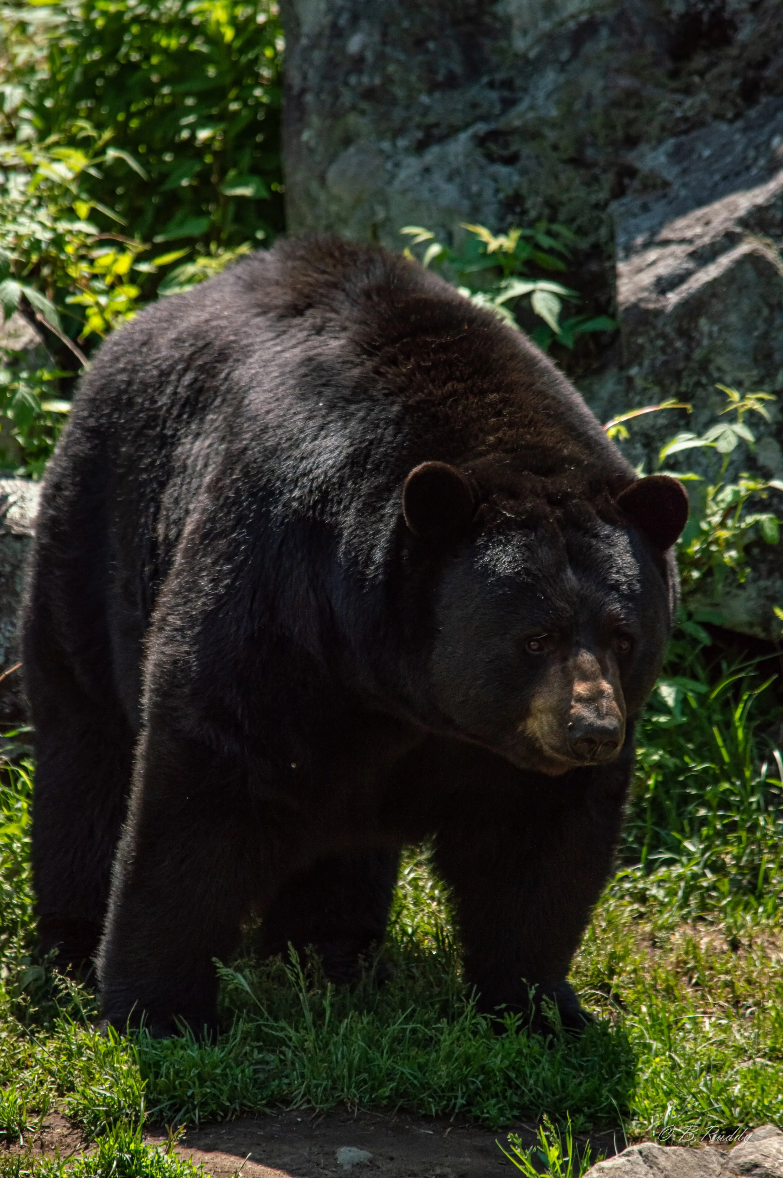 DSC_0477.jpg