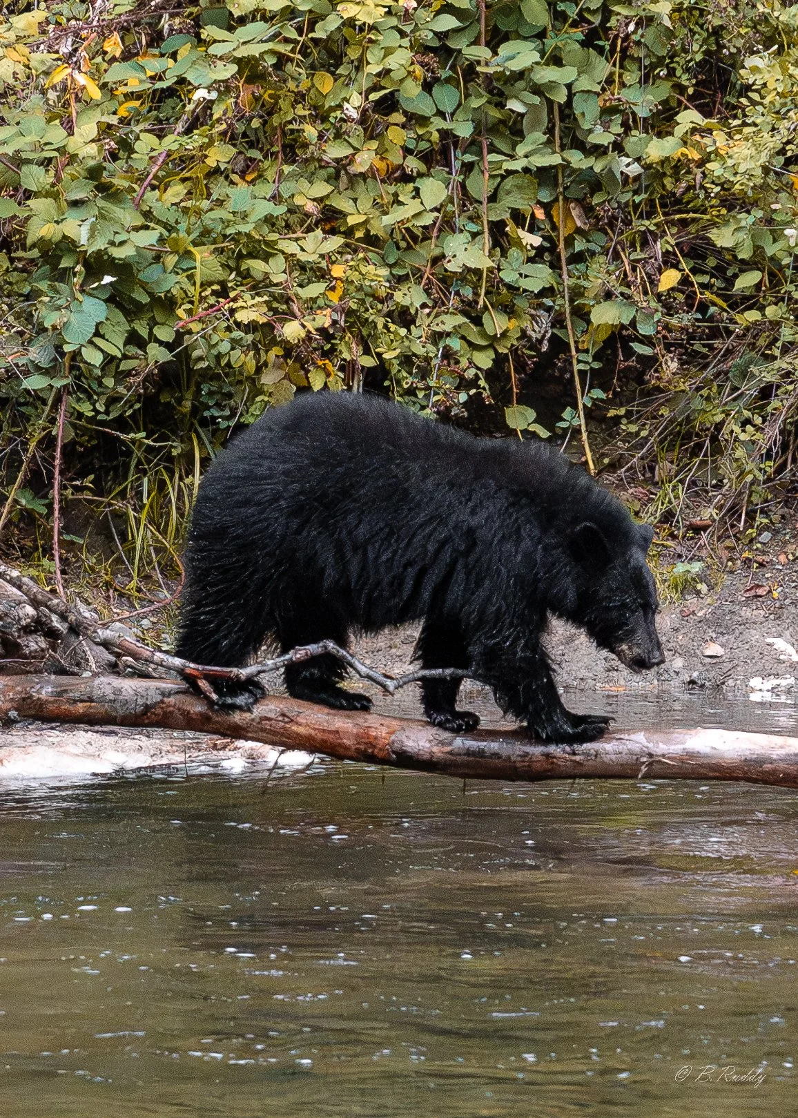 A7302884-Enhanced-NR.jpg