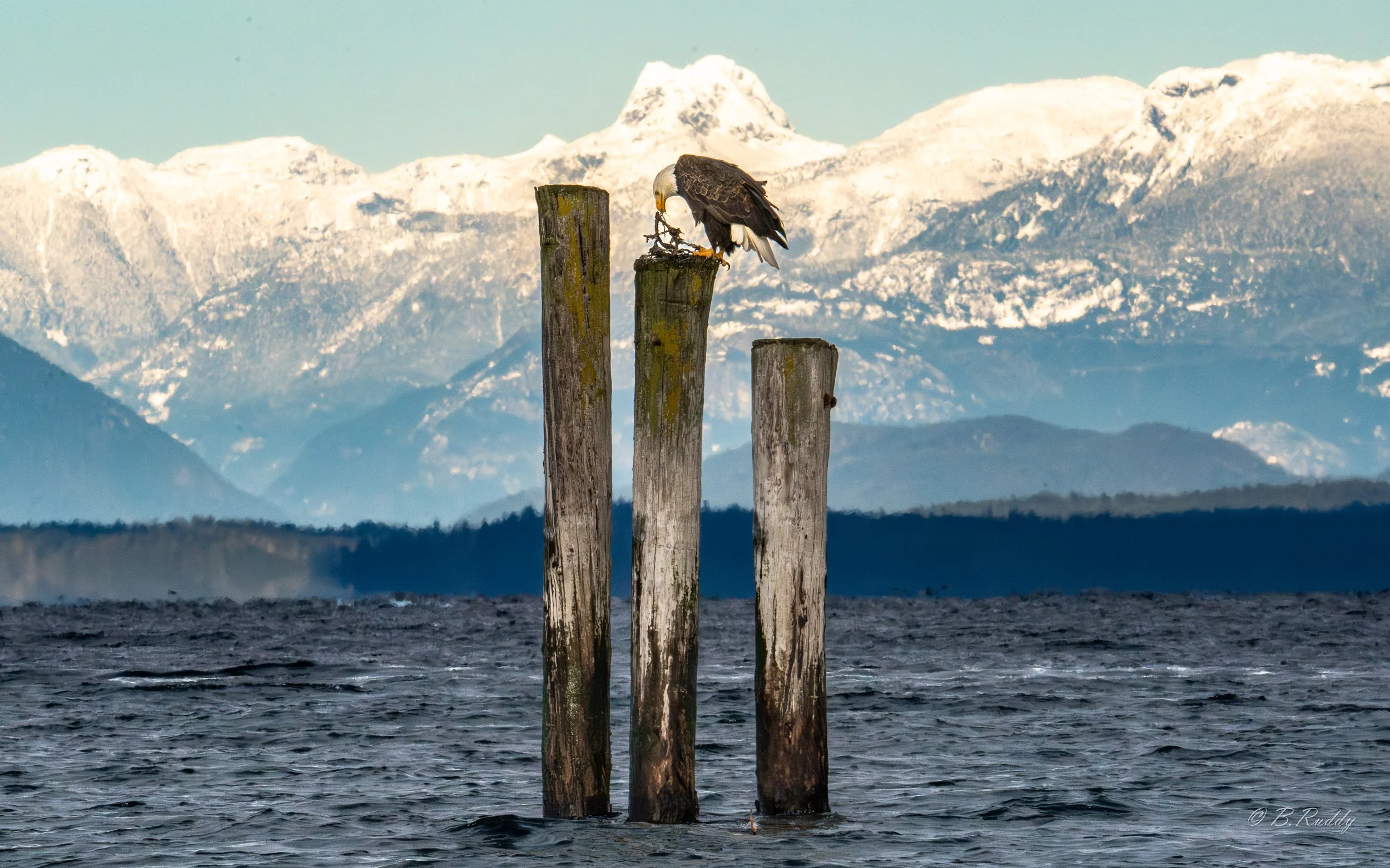 A7304448-Enhanced-NR.jpg