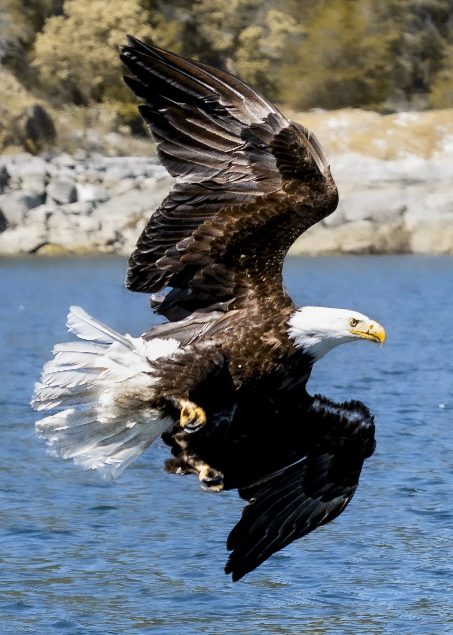 A7308387-2.jpg