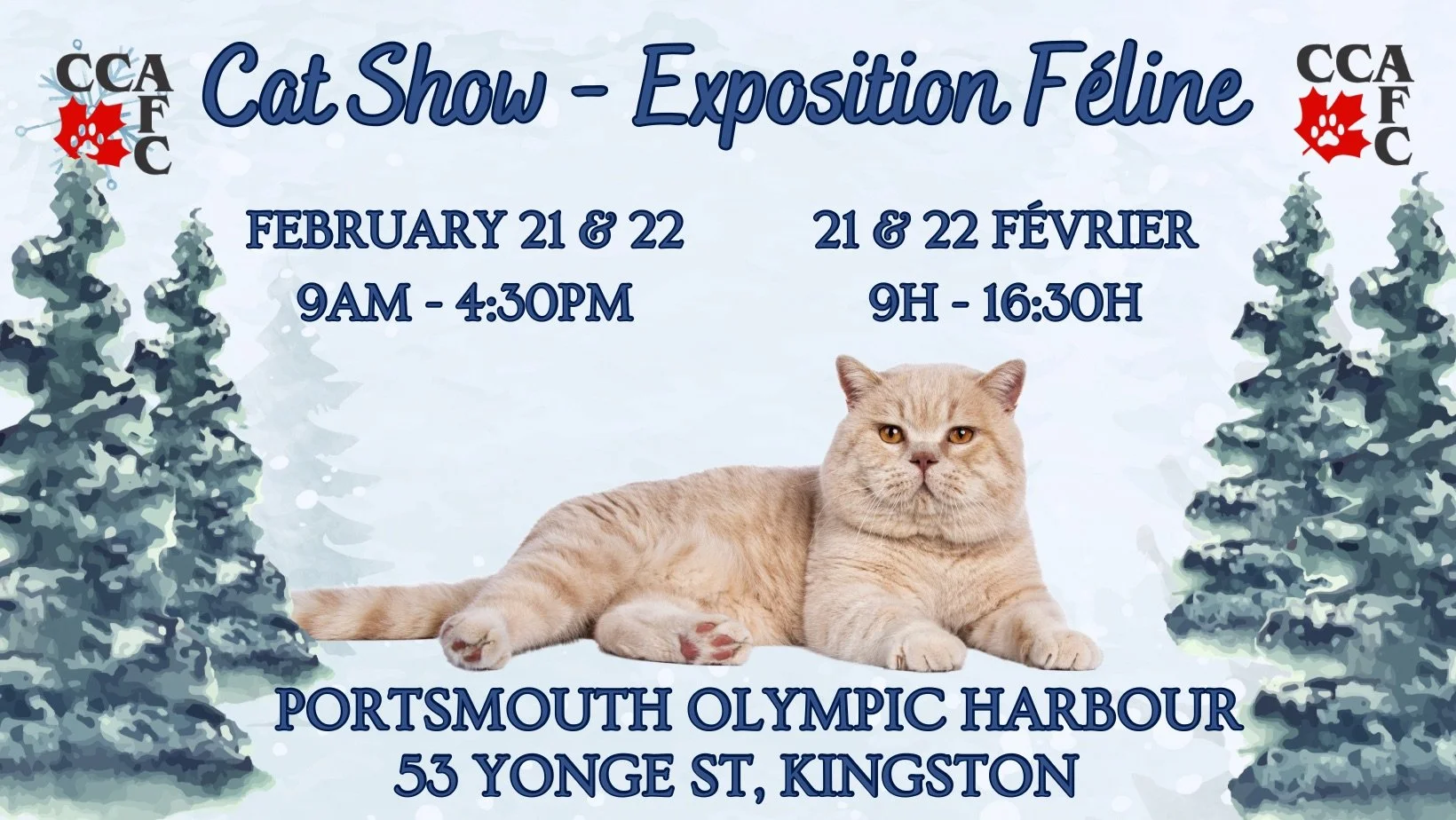 CCFC Cat Fanciers Club Annual Show 
