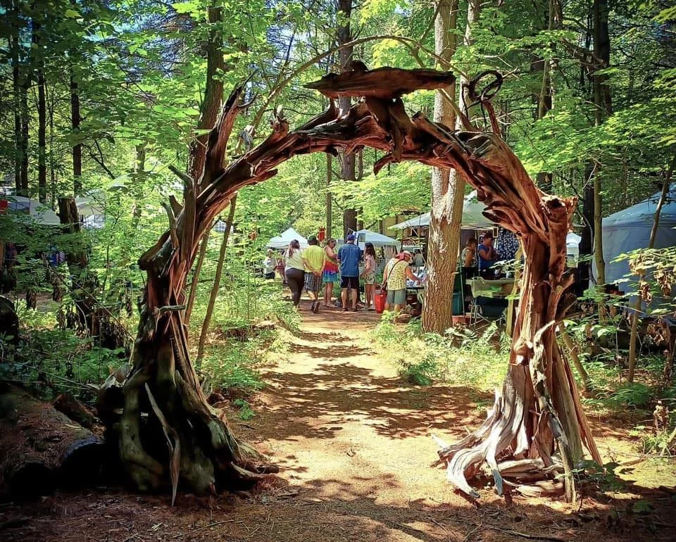 Fantasy in the Forest
