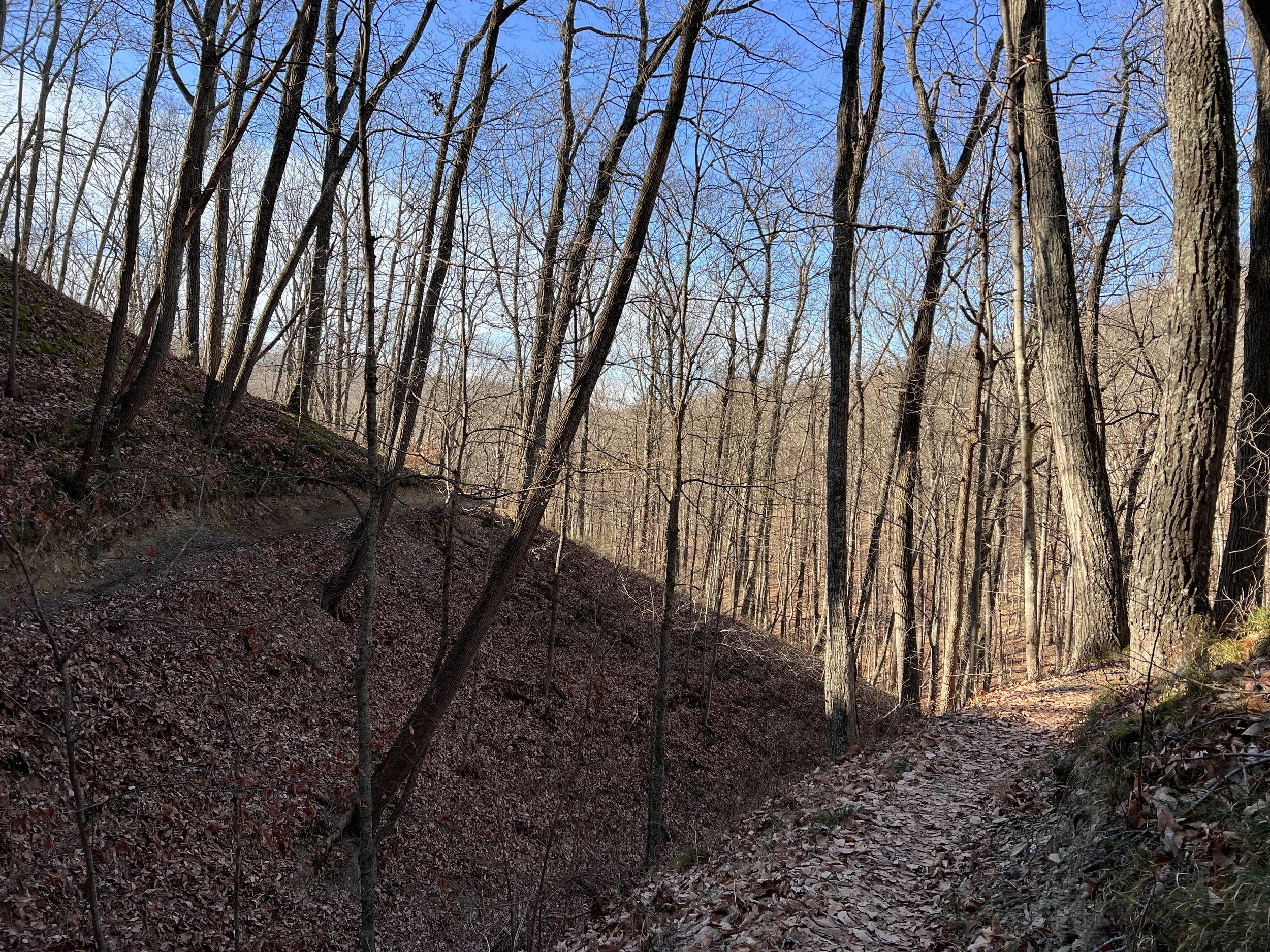Brown County Mountain Biking