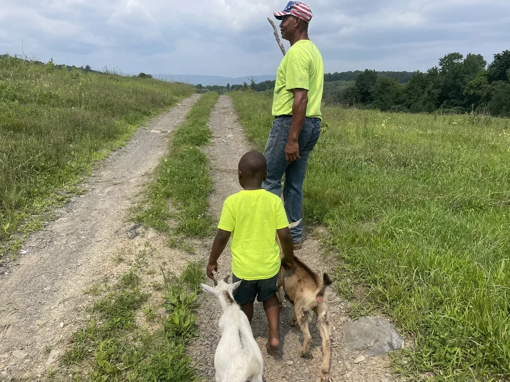 An older man with a hat and a young boy with matching neon yellow shirts walking along a dirt path with two goats, in a grassy field with trees and hills in the background.