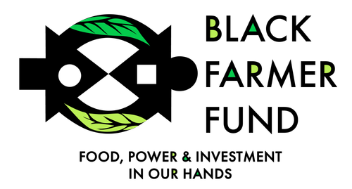 Black background with two green leaf icons and the text 'BAP'.