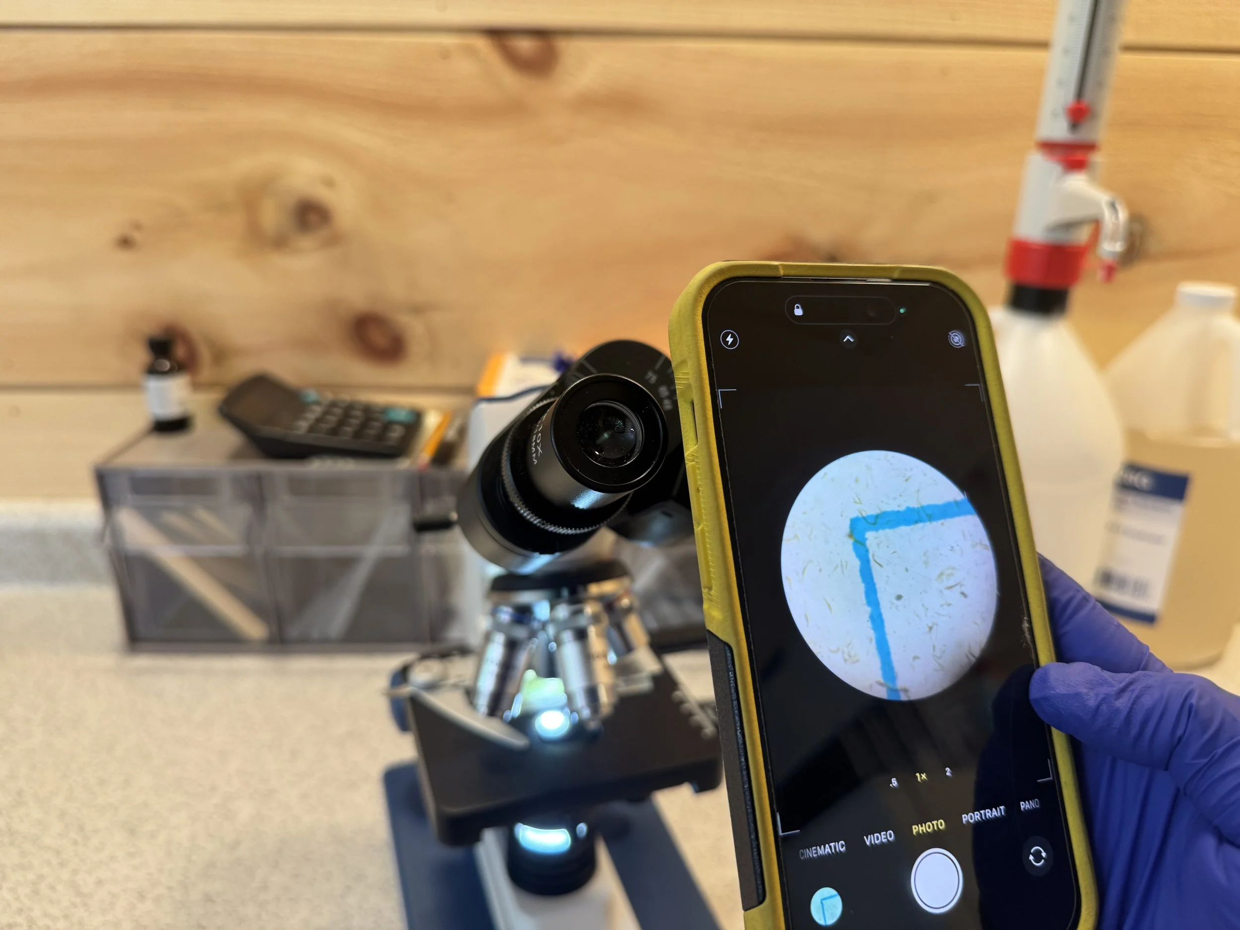 Simple Tips for Capturing Clear Microscope Photos at Home