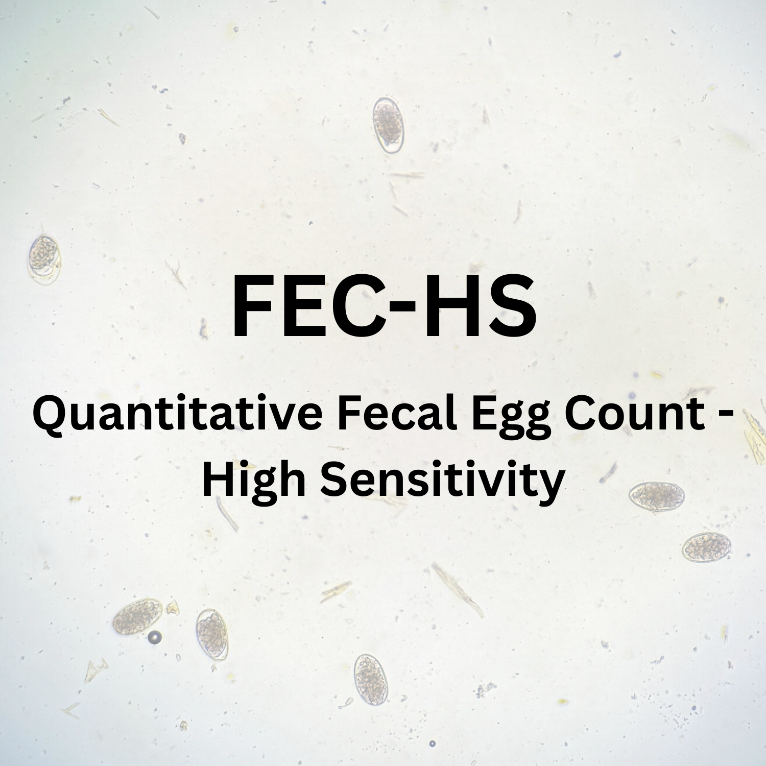 Quantitative Fecal Egg Count - High Sensitivity