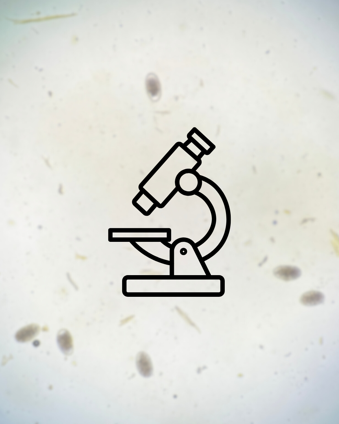 Course Icons for Website.png