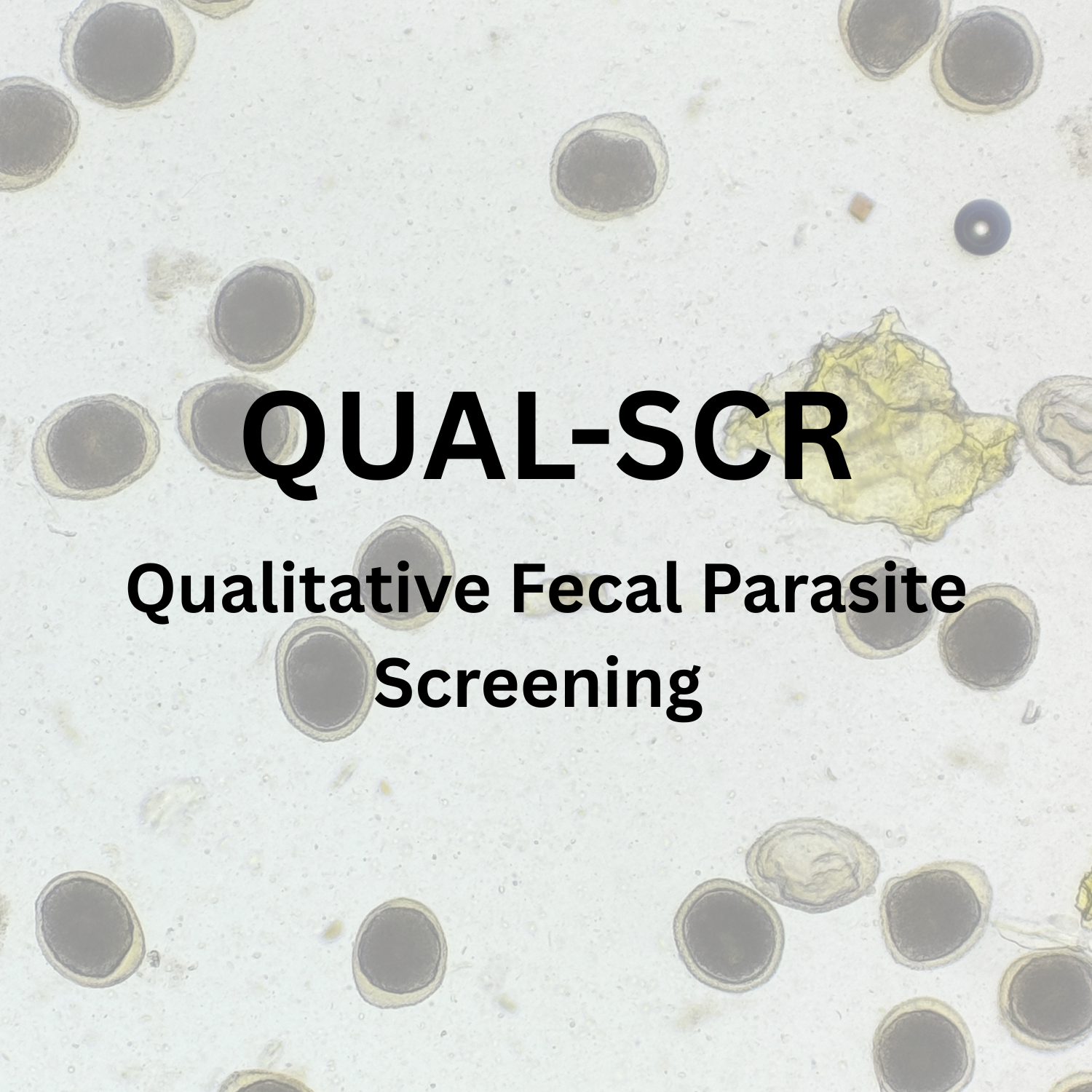 Qualitative Fecal Parasite Screen