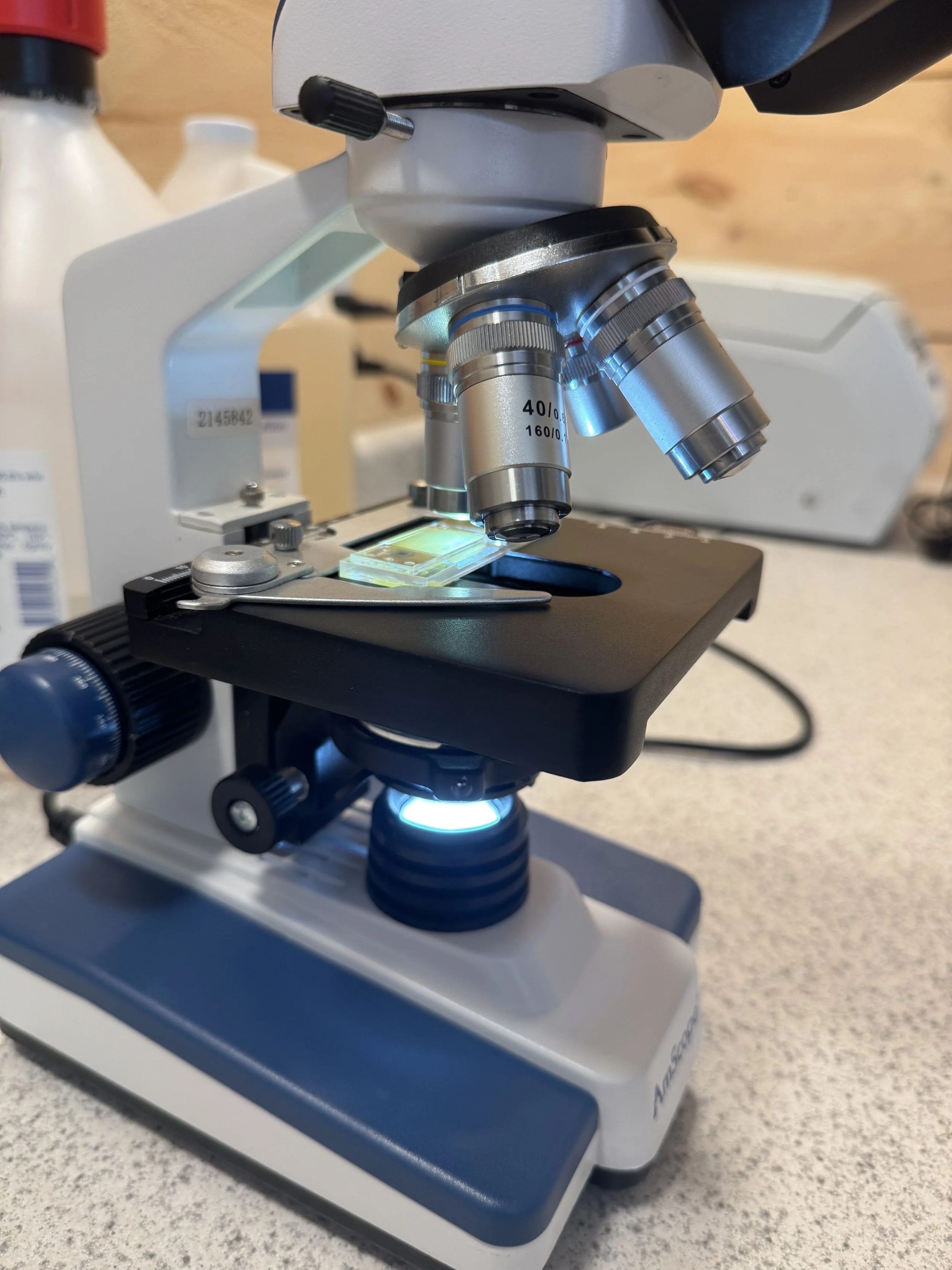 AmScope B120 Series compound microscope recommended for livestock fecal egg counting.