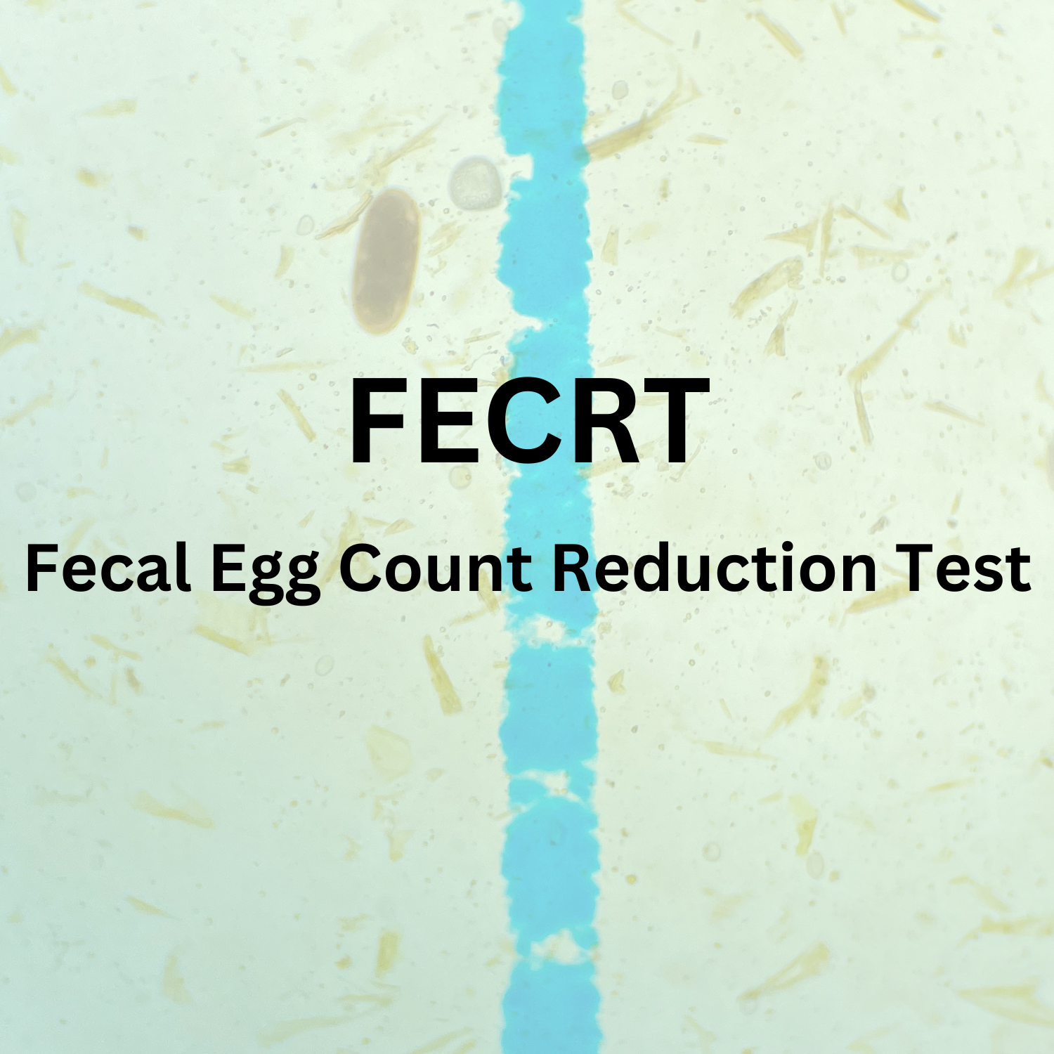 Fecal Egg Count Reduction Test