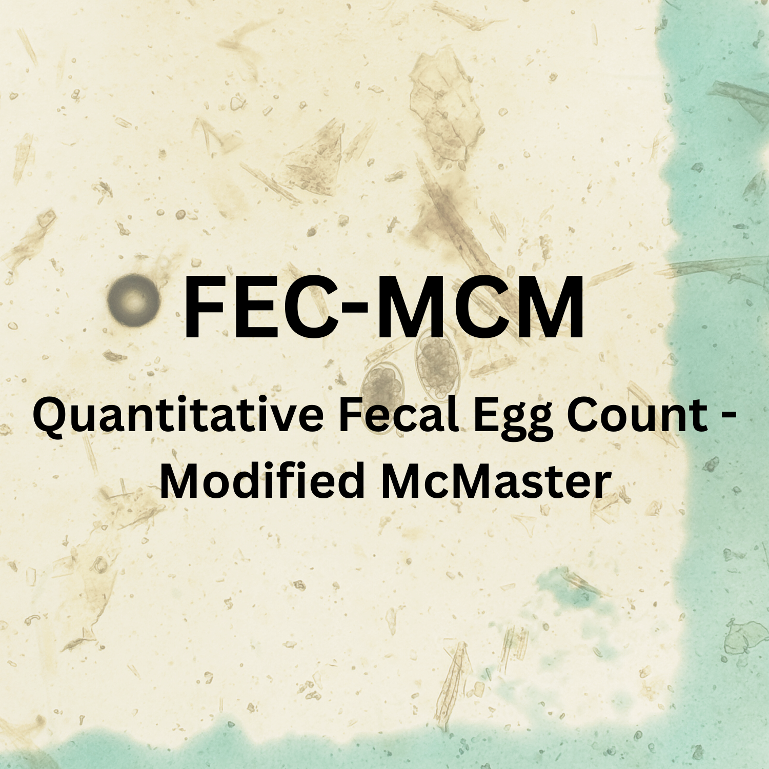 Quantitative Fecal Egg Count - Modified McMaster