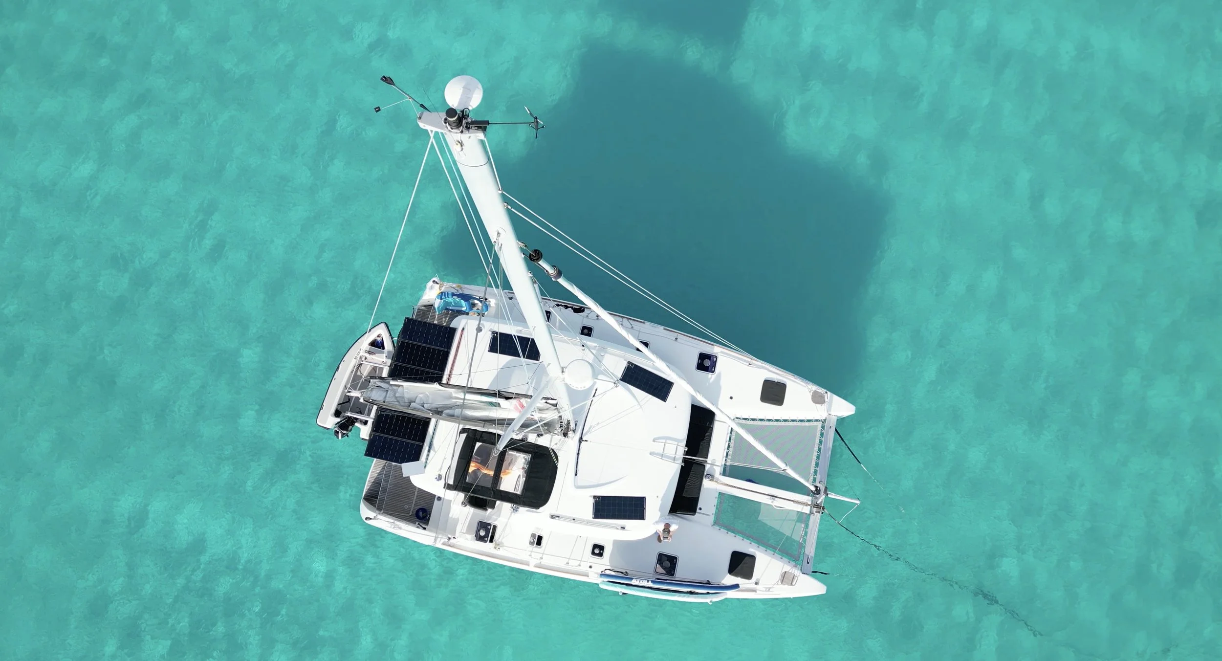 Image 1-16-26 at 8.30 AM.jpg