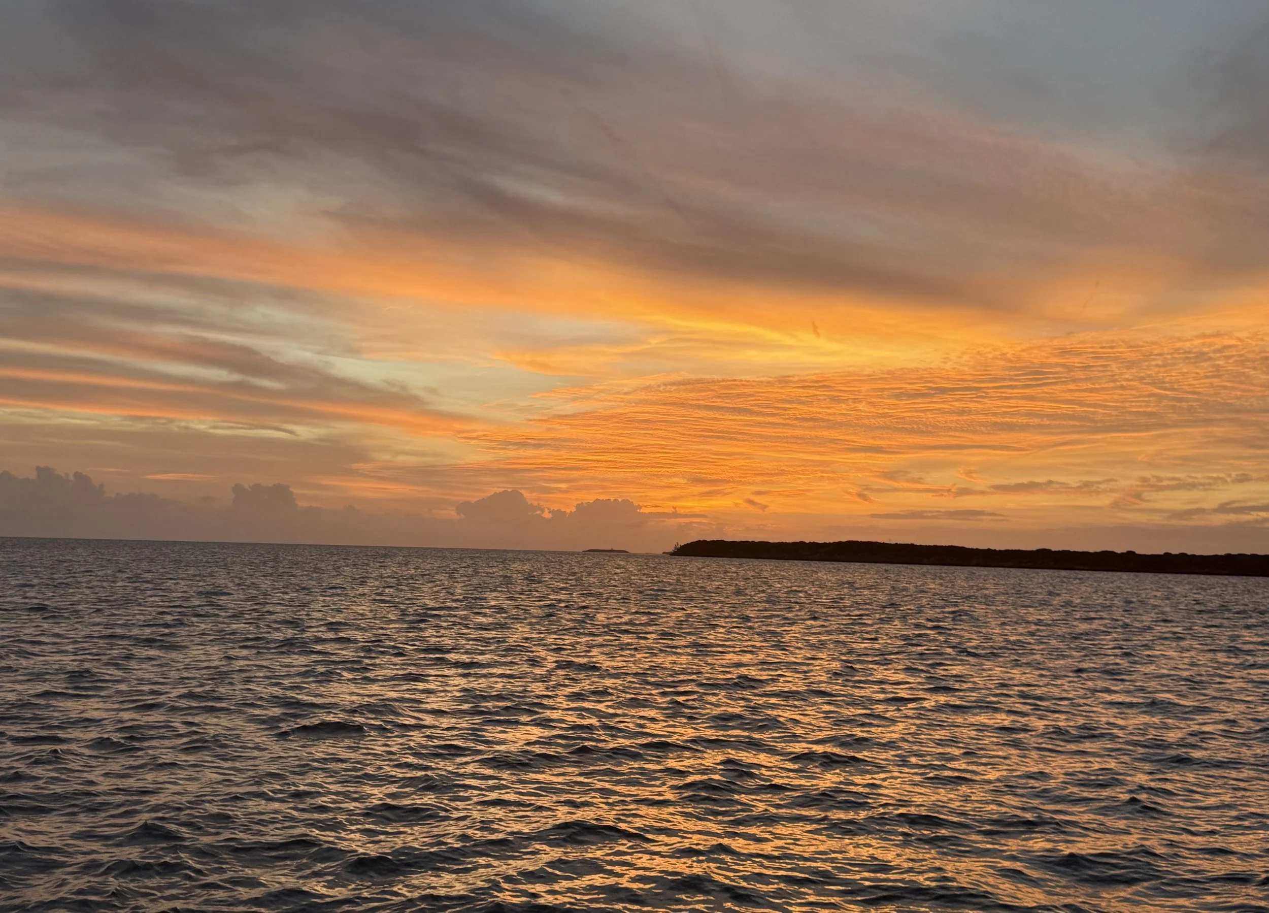 Image 6-3-26 at 4.32 PM.jpg