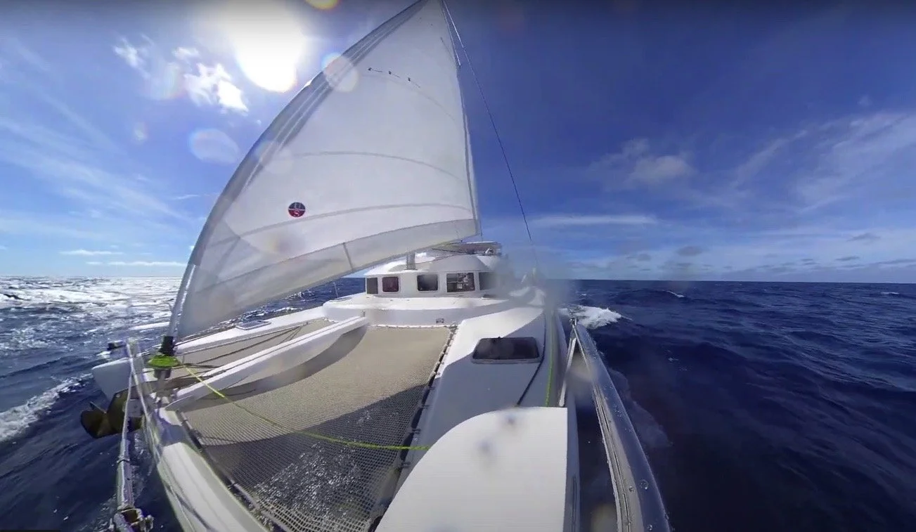 Image 4-12-22 at 12.33 PM.jpg