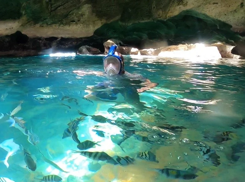 Image 6-9-22 at 3.06 PM.jpg