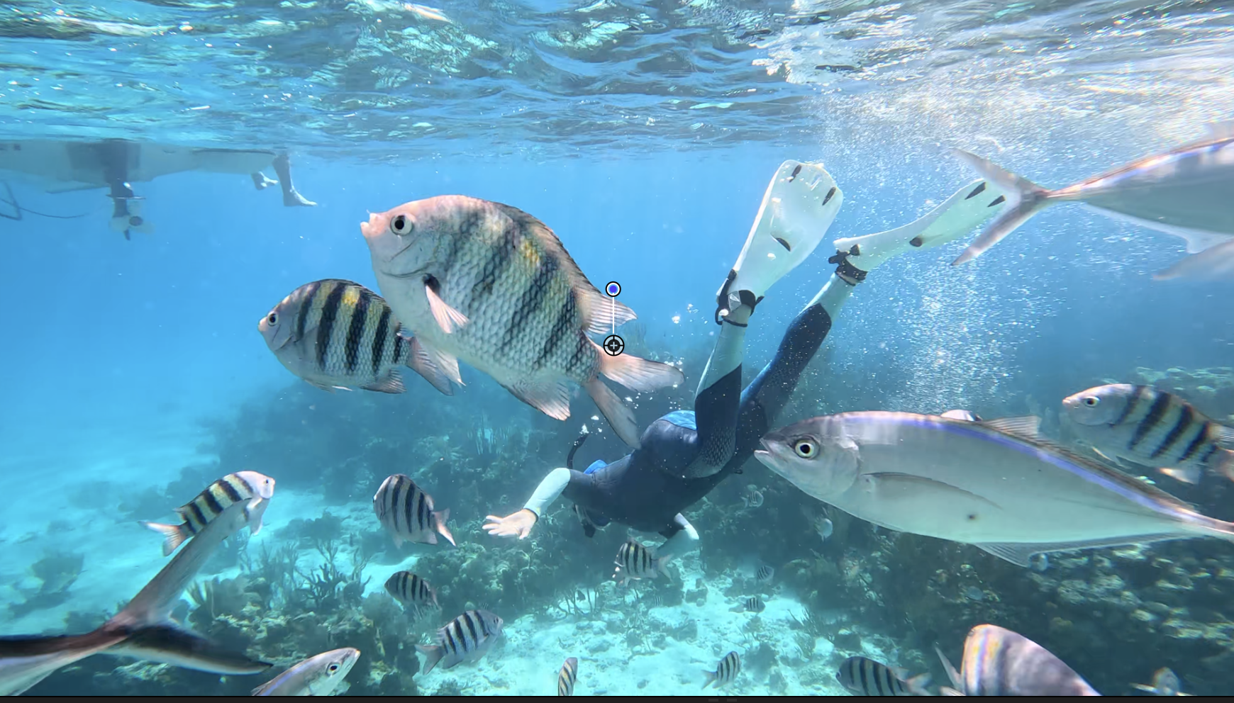 Screenshot 2024-06-03 at 10.05.52 AM.png