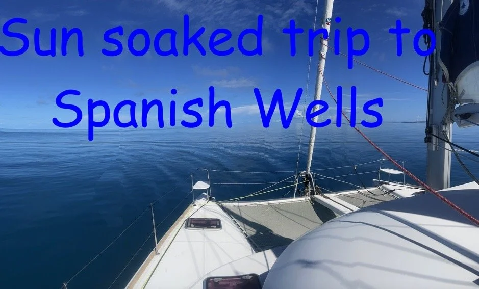 Image 7-19-23 at 1.53 PM.jpeg