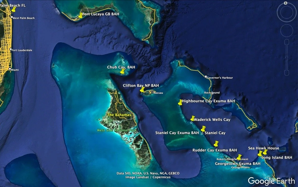 Image 10-31-22 at 10.18 AM.jpg