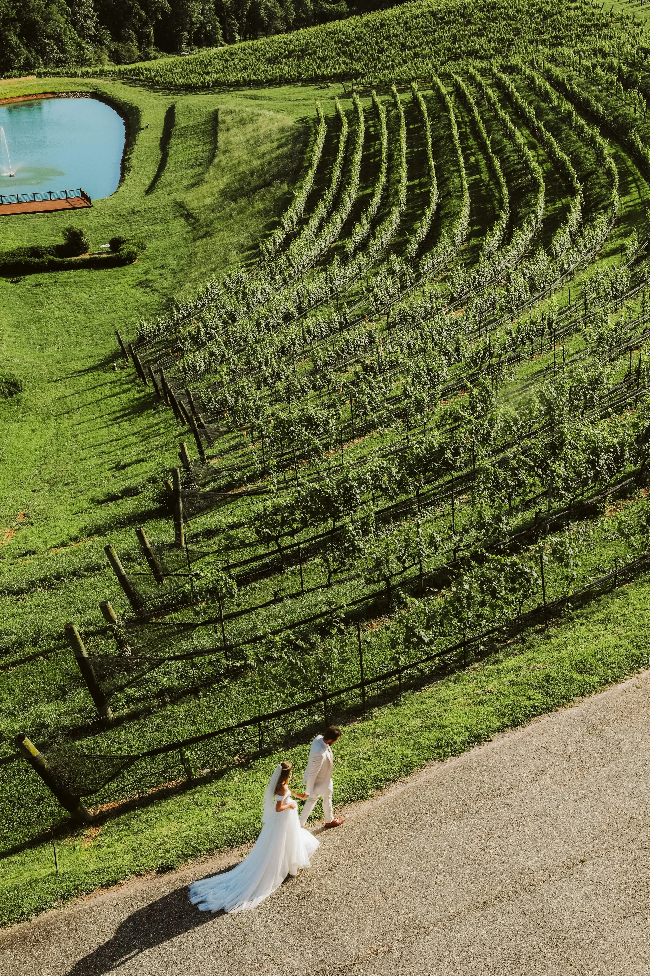 North Georgia Vineyard Wedding with Horse
