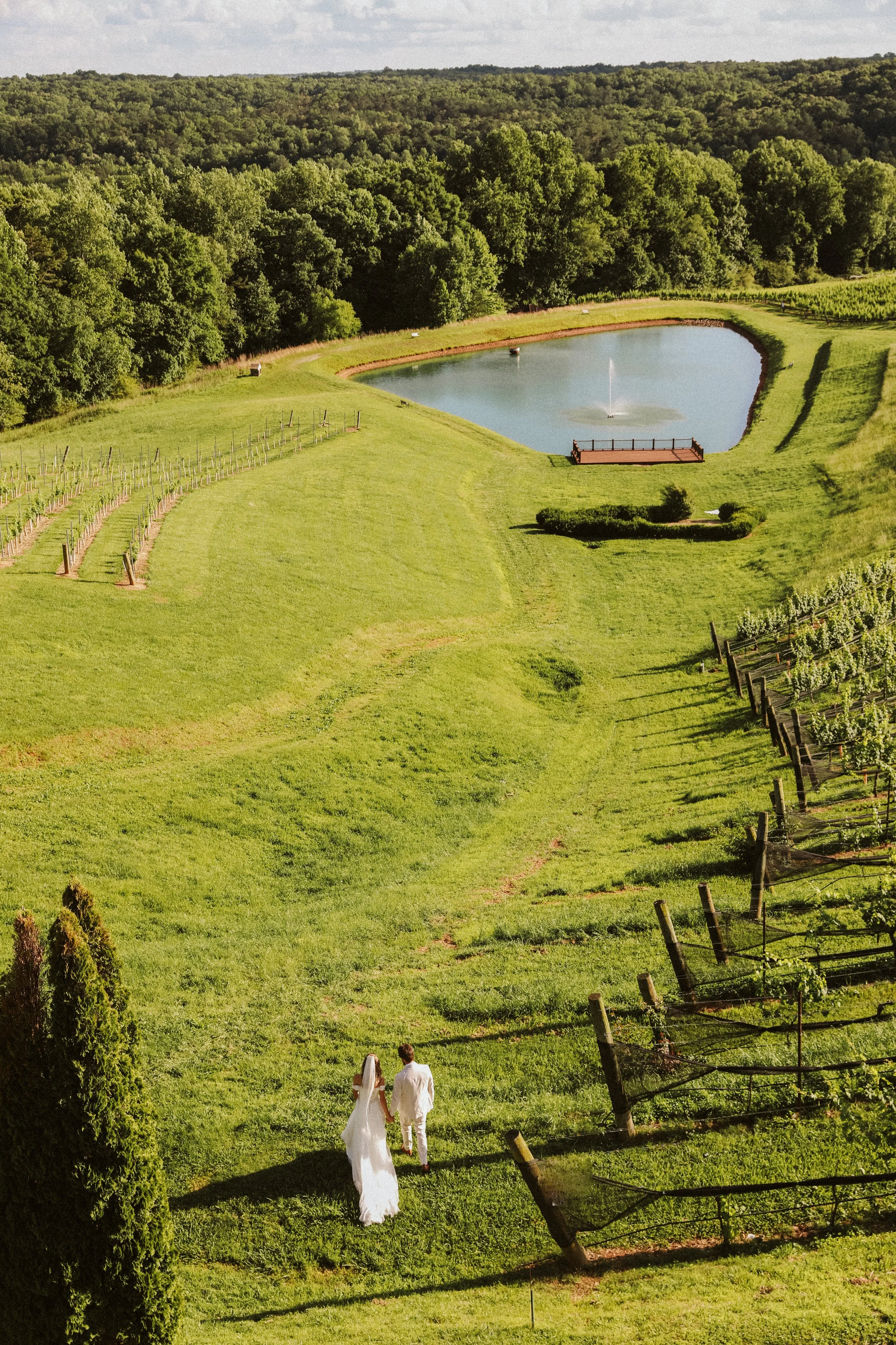 North Georgia Vineyard Wedding View from Above