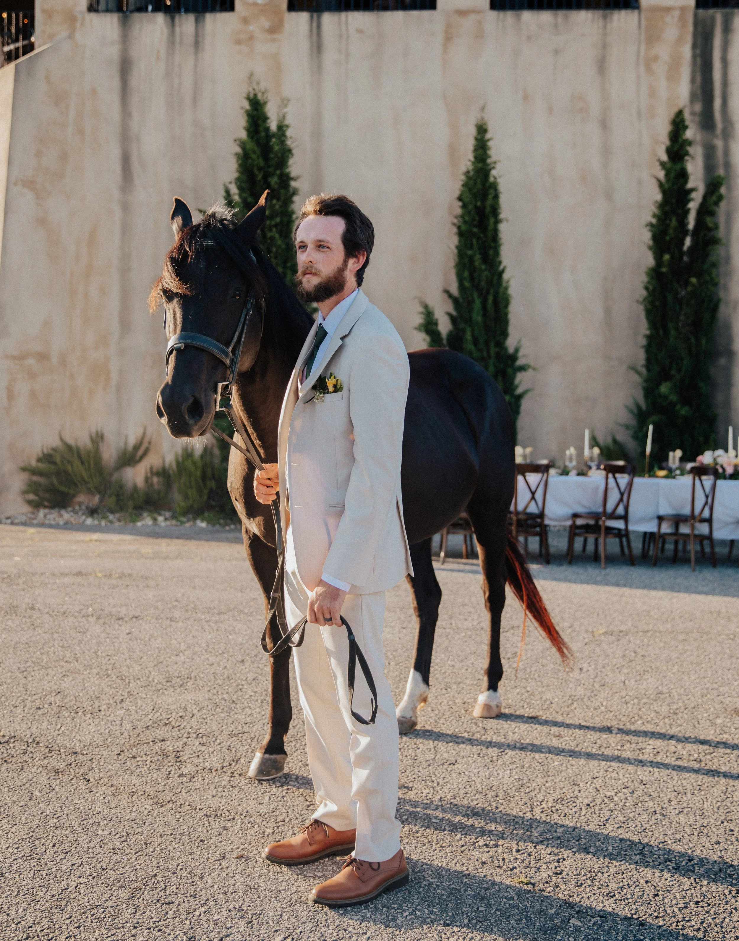 Groom Portrait with Horse at Georgia Vineyard Wedding
