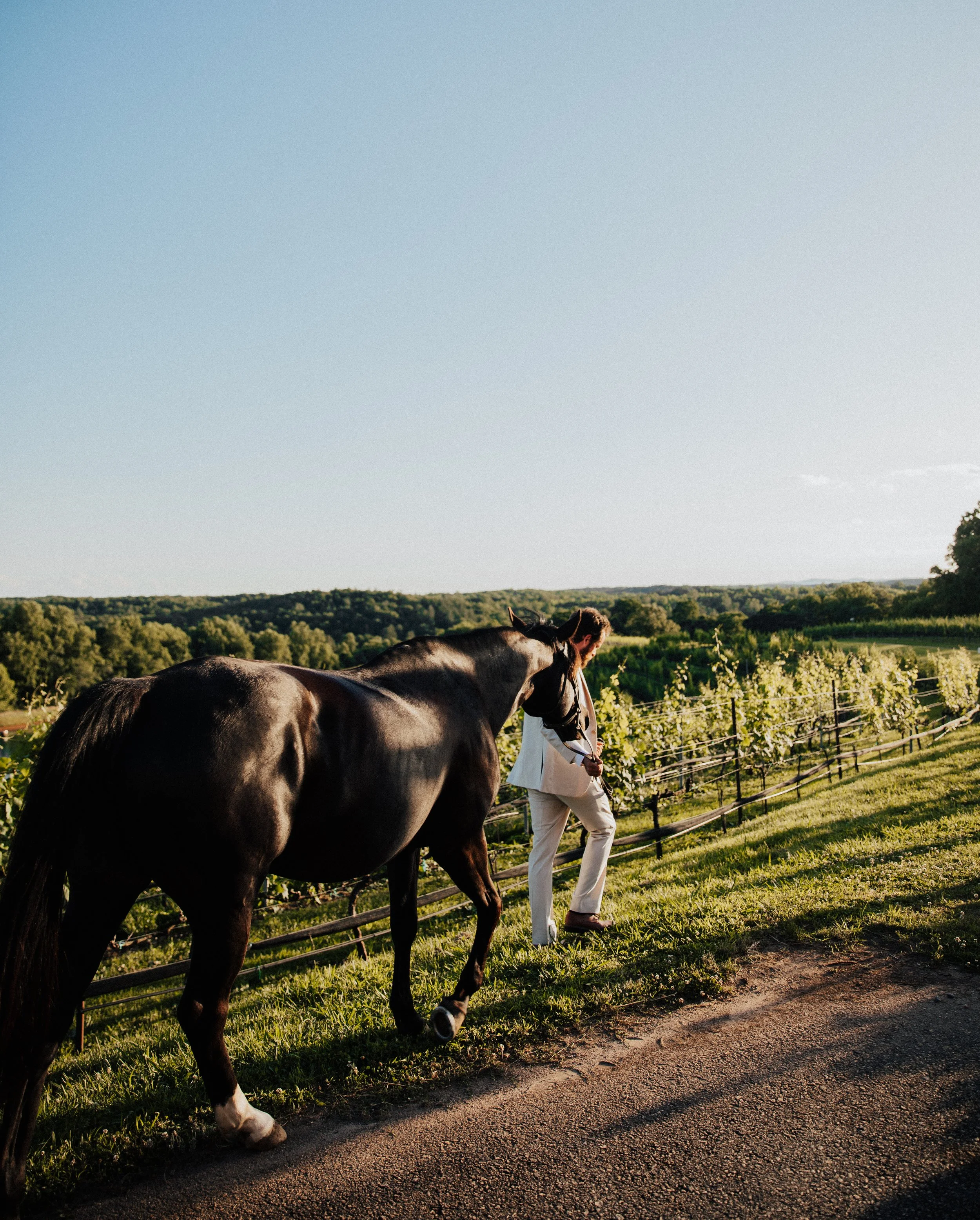 Sunset Vineyard Wedding with Horse in Georgia