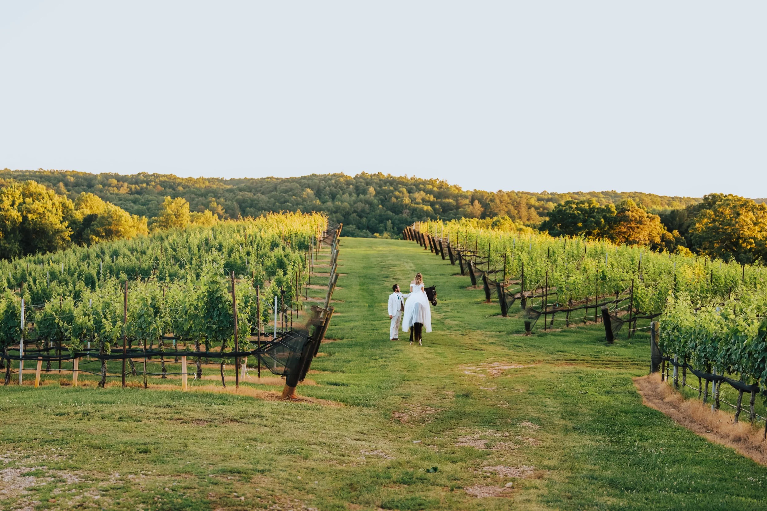 Dahlonega Georgia Vineyard Wedding Landscape