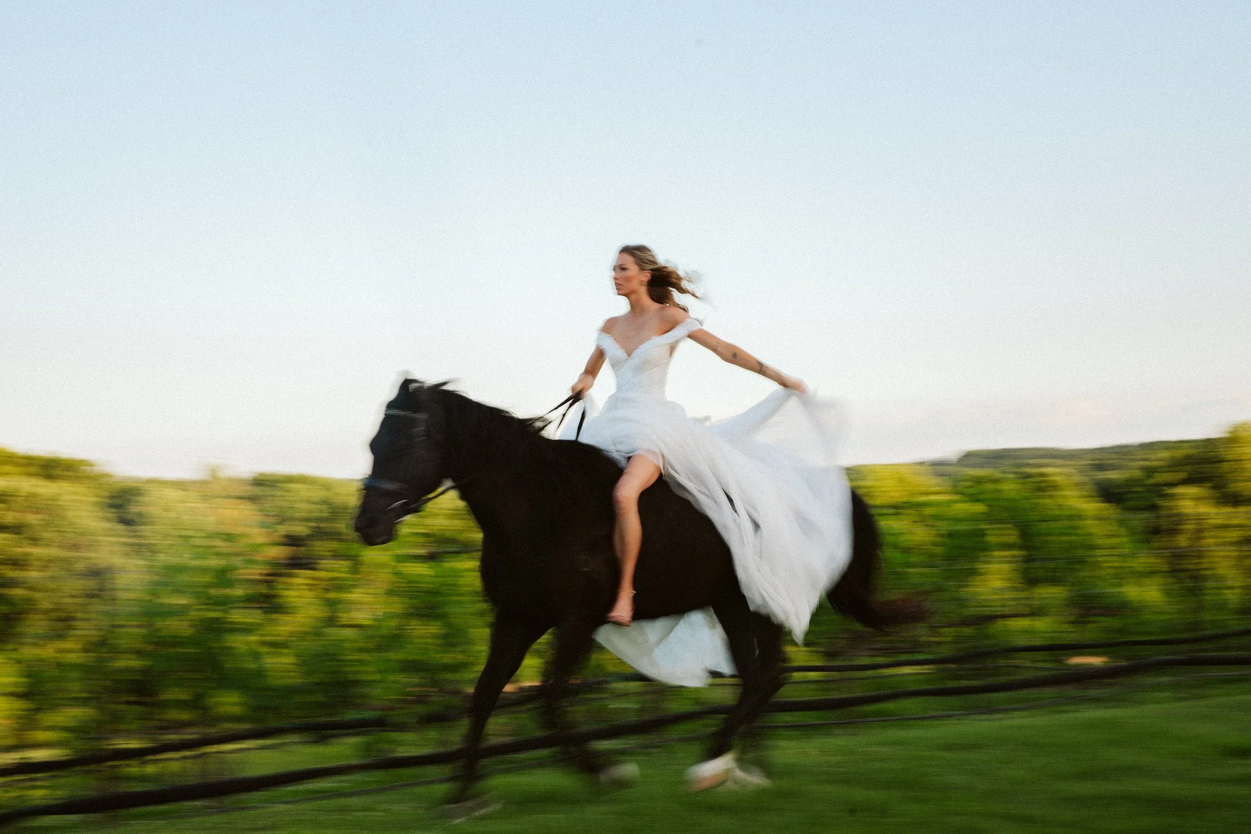 Editorial Wedding Photo with Horse at Montaluce Winery