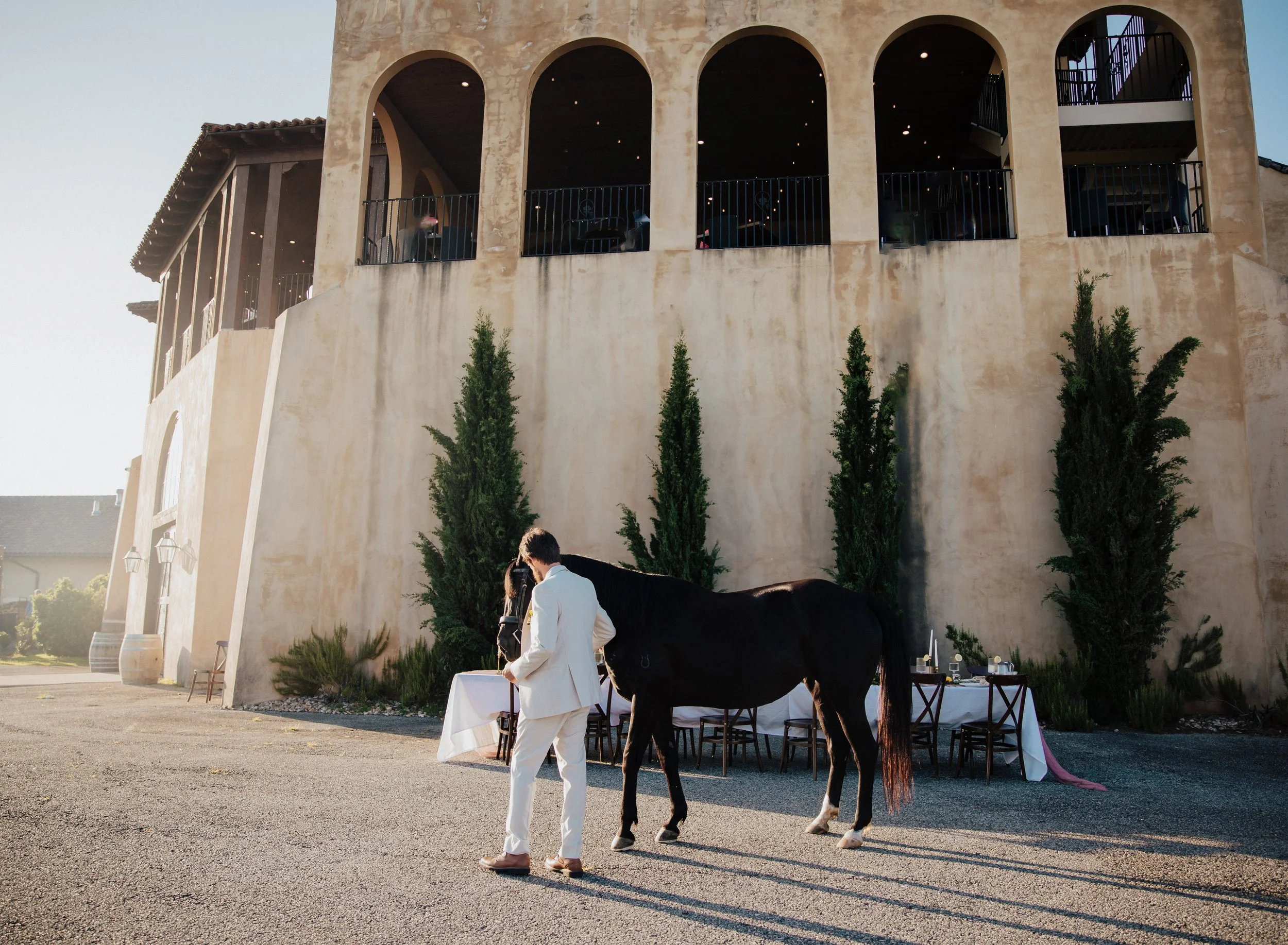Montaluce Winery Wedding with Horse