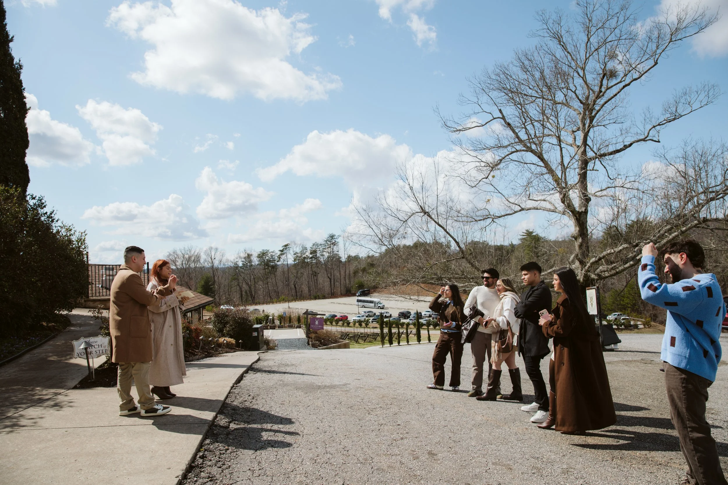 Bride-to-be Showing Engagement Ring