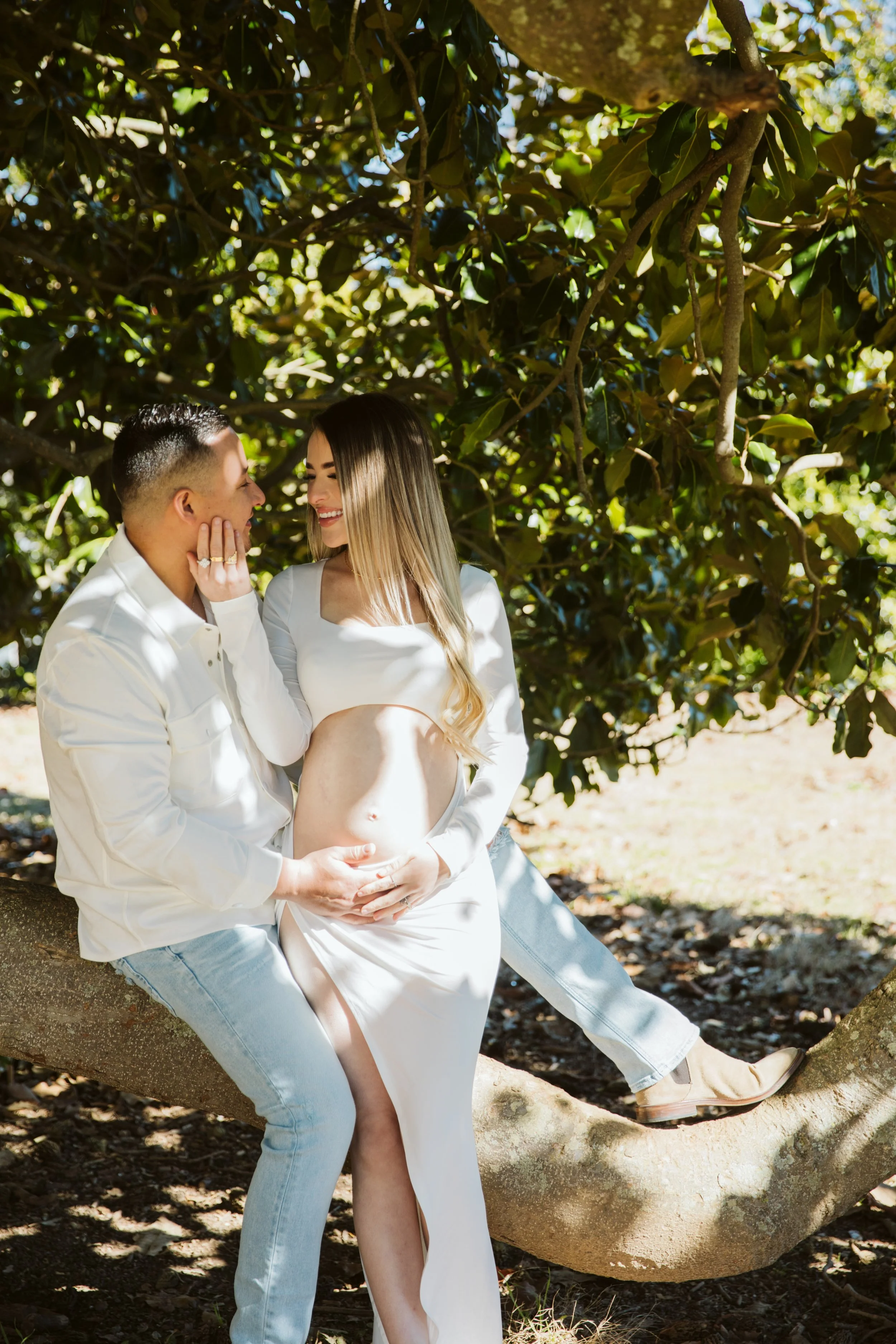Pregnant couple embracing under large tree during maternity photos