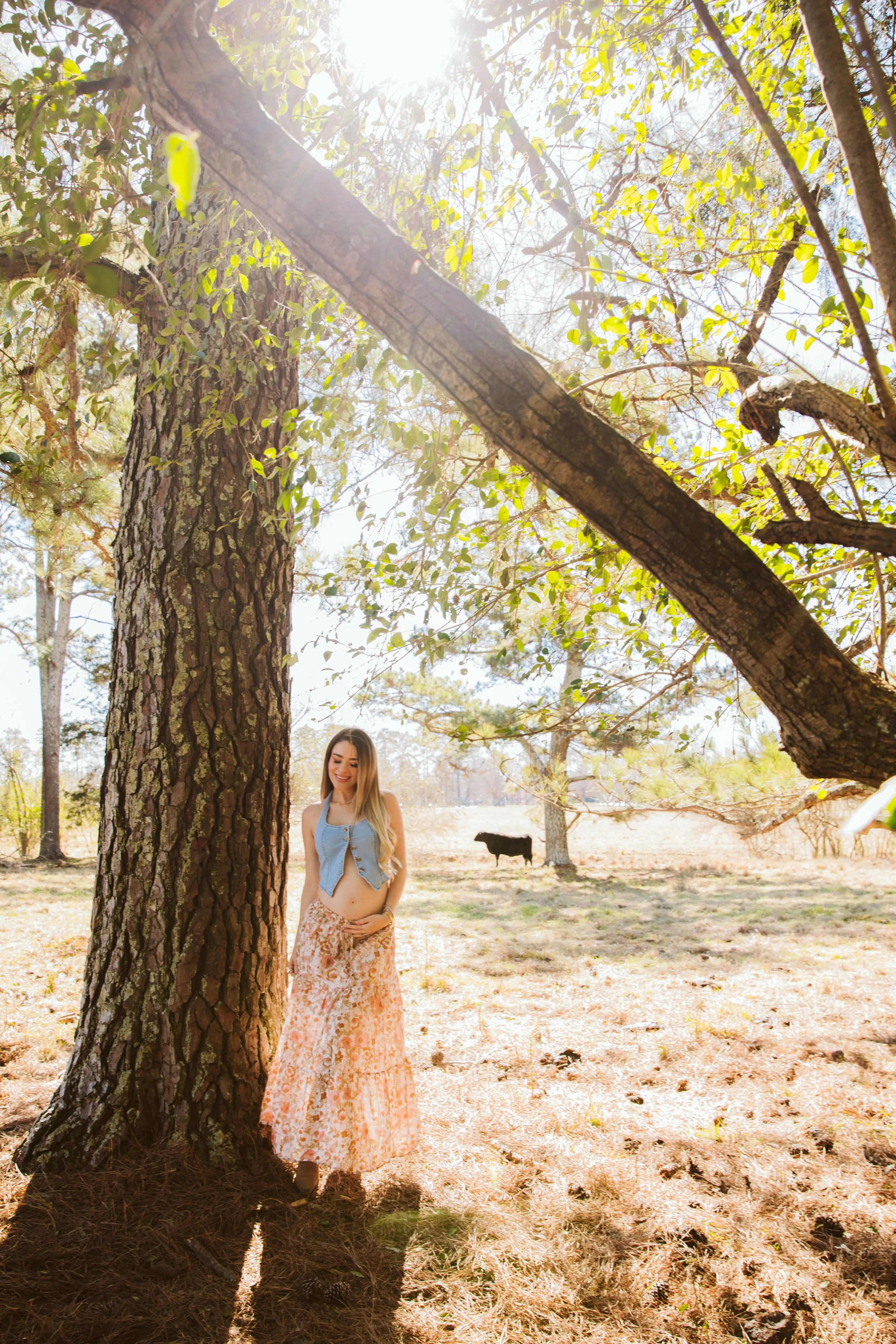 Maternity photoshoot of woman standing under large tree with sunlight