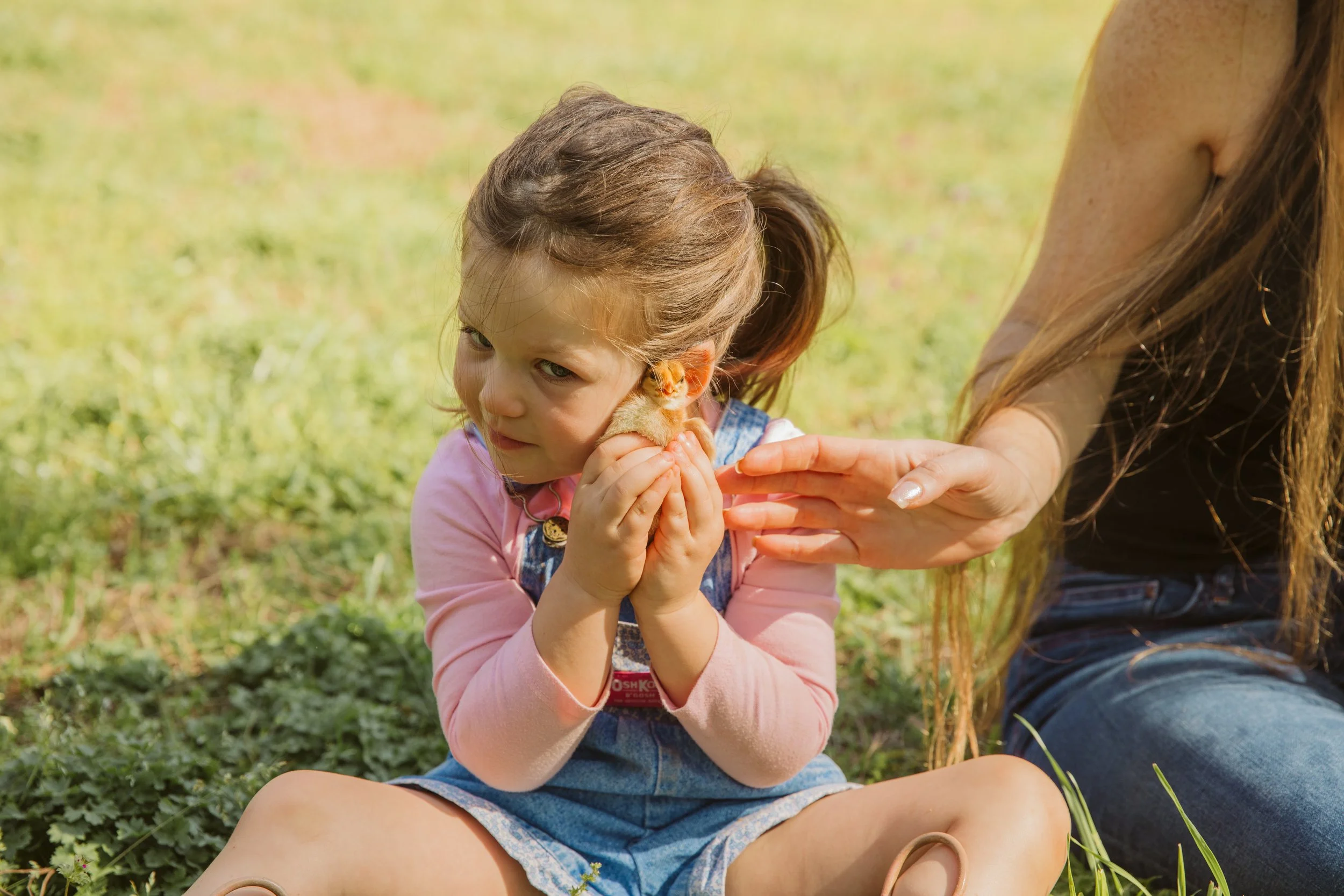 Child cuddling baby chick