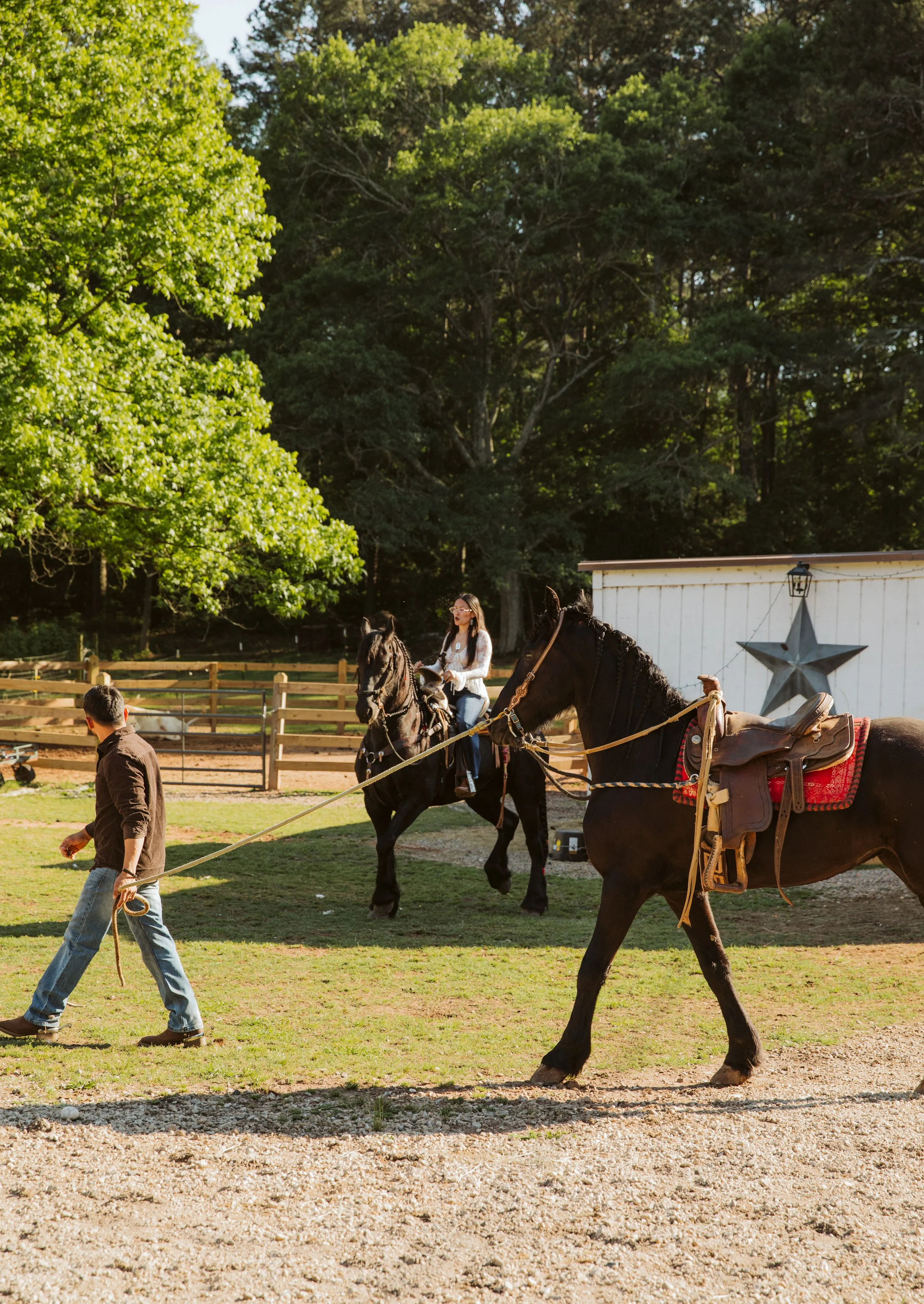 Friesian horse photoshoot in Georgia countryside