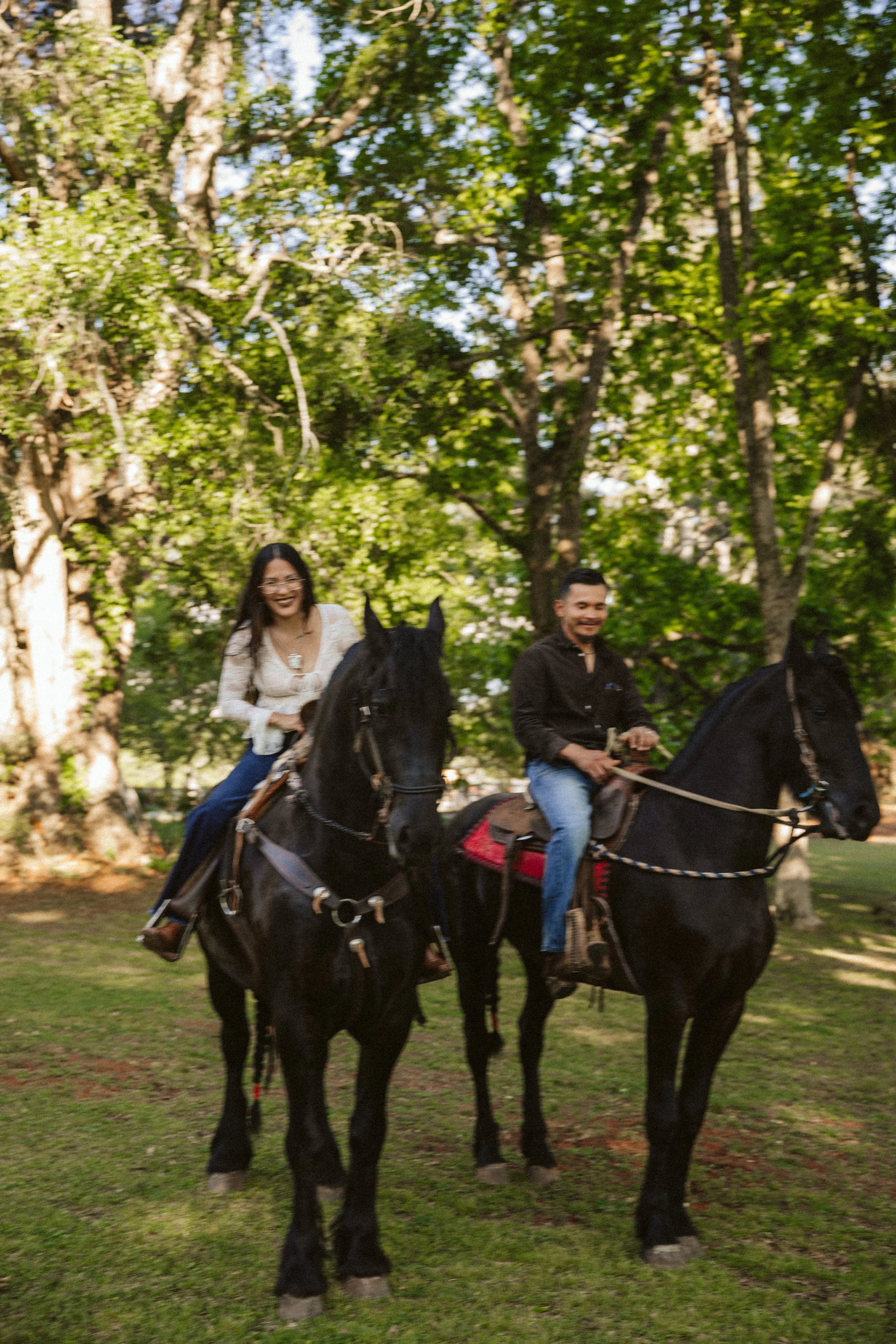 Luxury Friesian horse couples session in GA