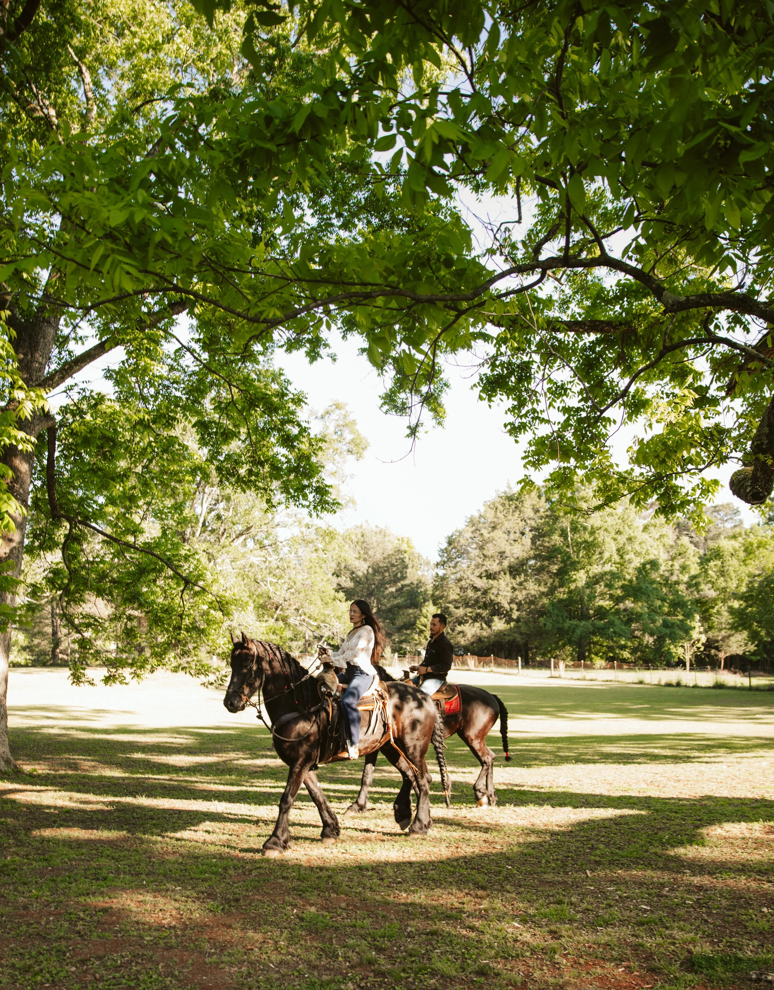 Romantic horseback trail ride photography