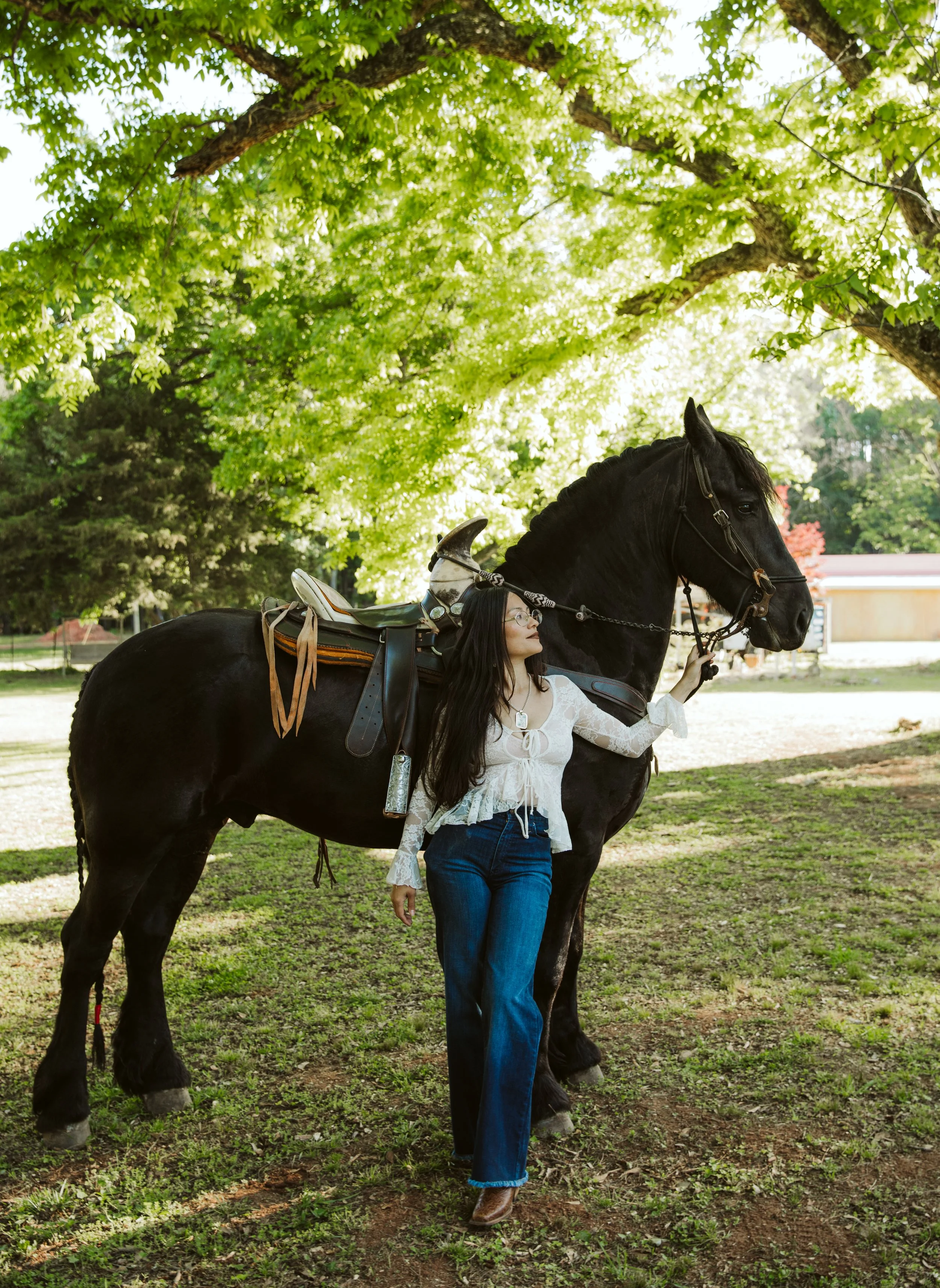 Friesian horse lifestyle session in Social Circle