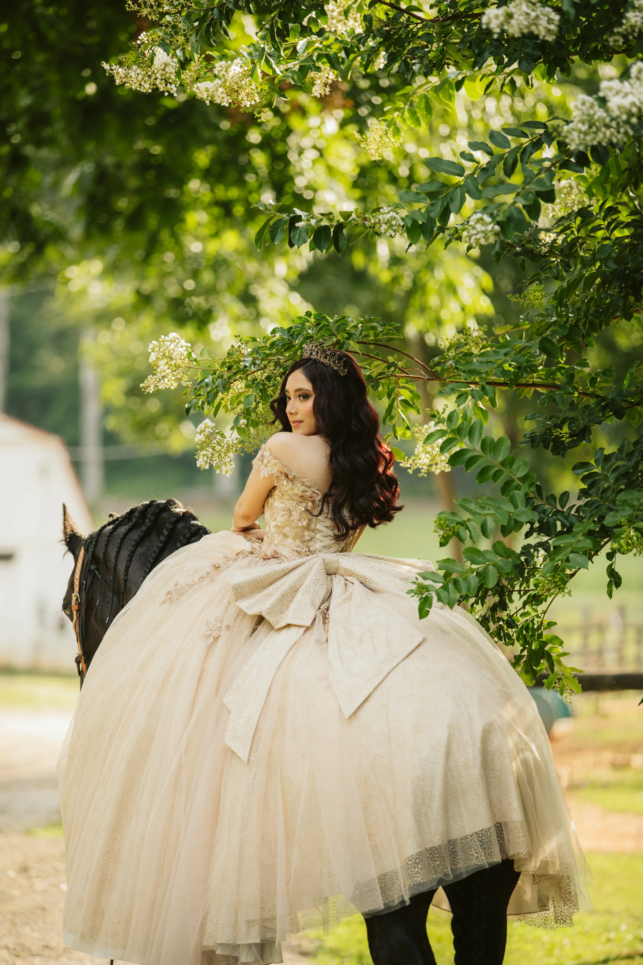 stephany-barboza-photography-quinceanera-ga-photographer1K9A3809.JPG